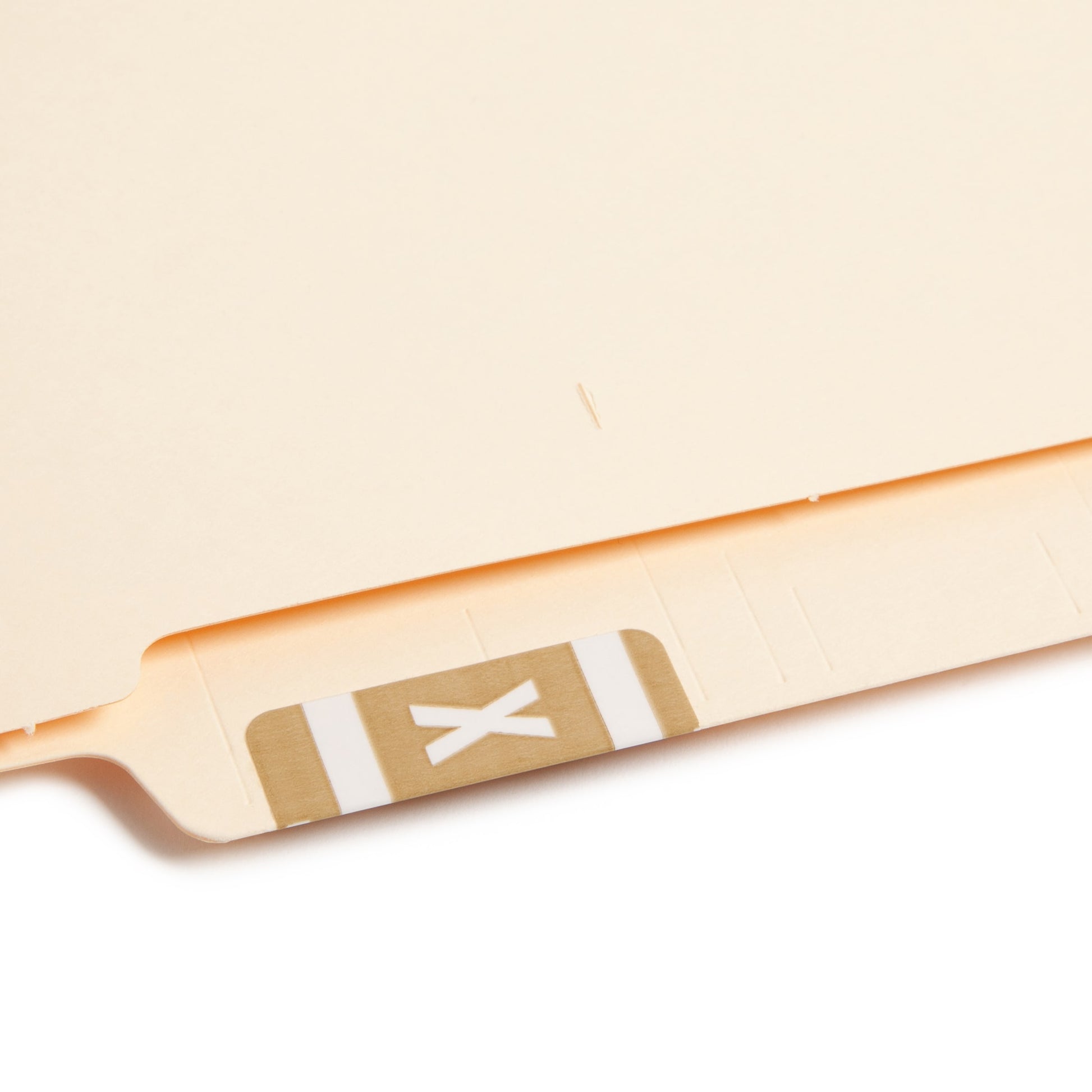 AlphaZ® ACCS Color Coded Alphabetic Labels - Sheets, Light Brown Color, 1" X 1-5/8" Size, Set of 100, 086486671941