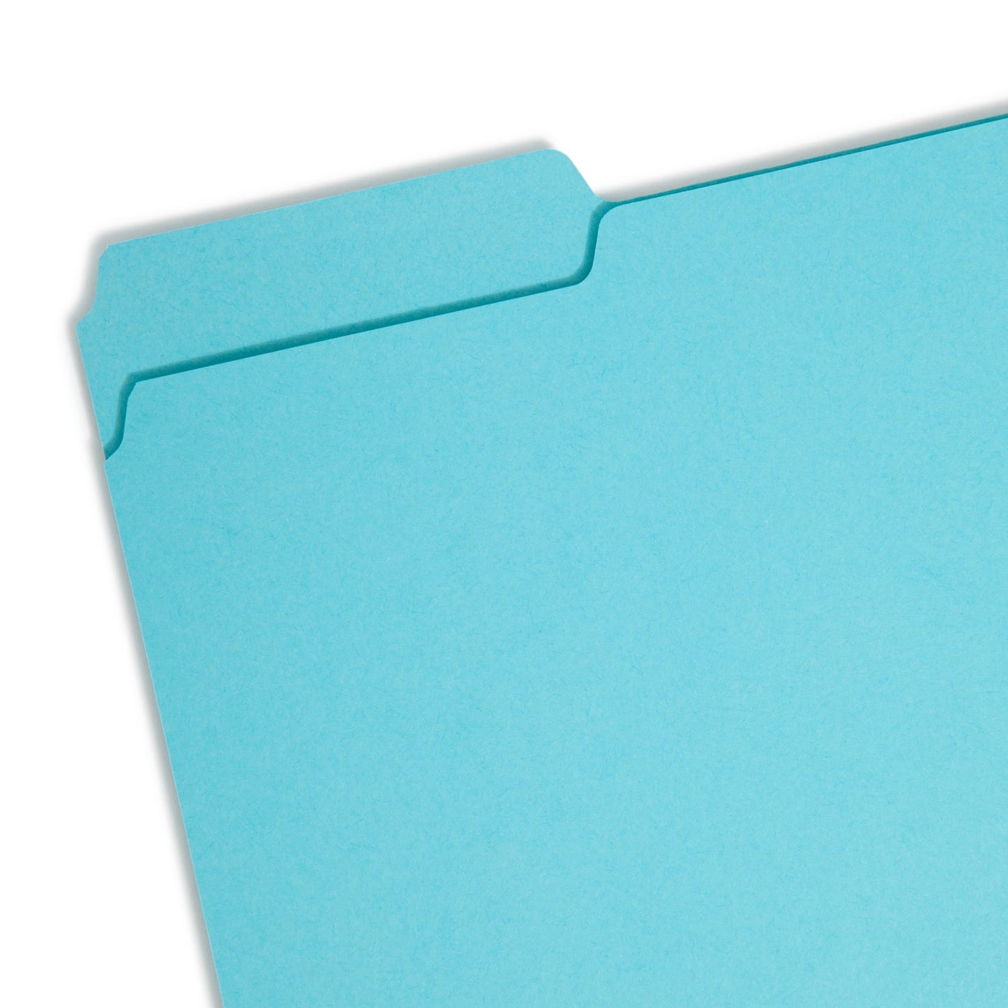 Interior File Folders, Aqua Color, Letter Size, Set of 100, 086486102353