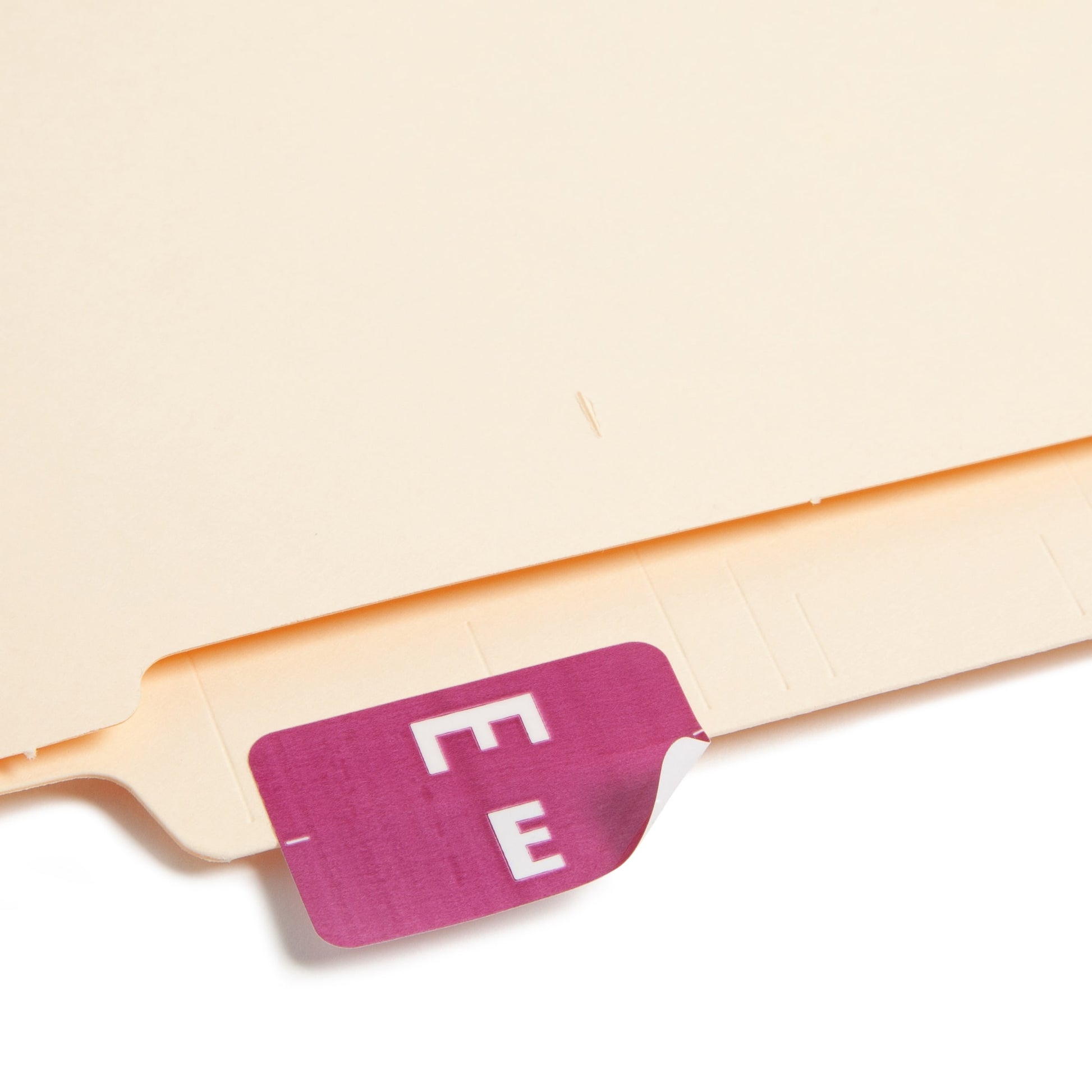 AlphaZ® ACCS Color Coded Alphabetic Labels - Sheets, Purple Color, 1" X 1-5/8" Size, Set of 100, 086486671750