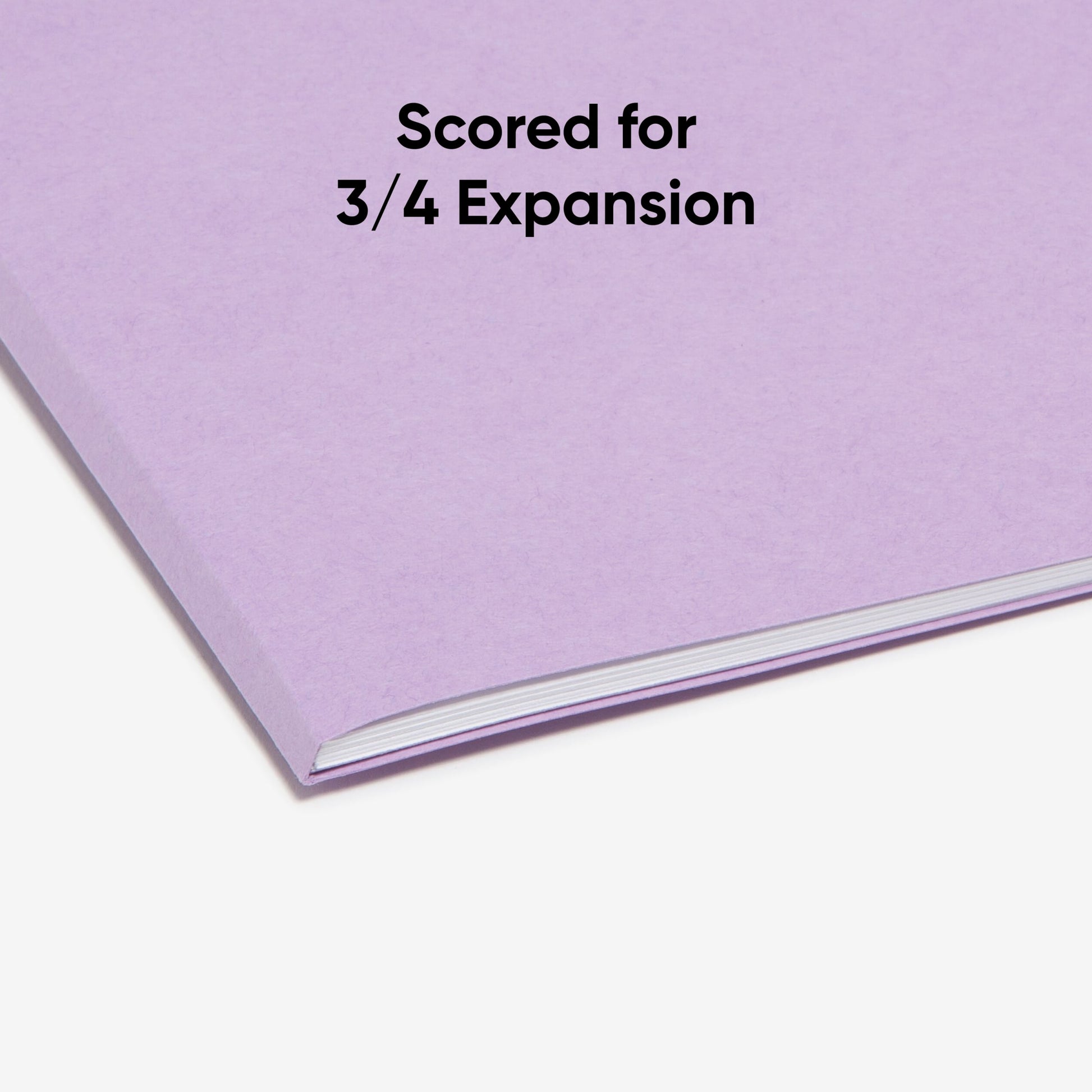 Standard File Folders, 1/3-Cut Tab, Lavender Color, Letter Size, Set of 100, 086486124430