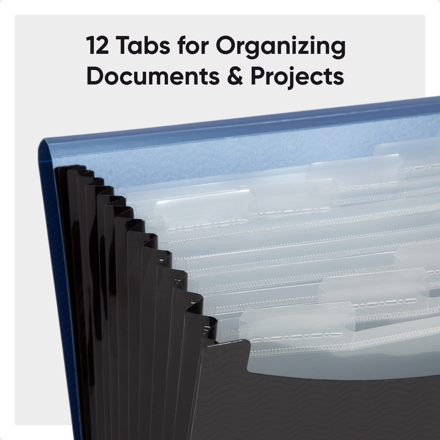 Poly Expanding Files with Flap, 12 Pockets, Wave Pattern, Blue Color, Letter Size, Set of 1, 086486708630