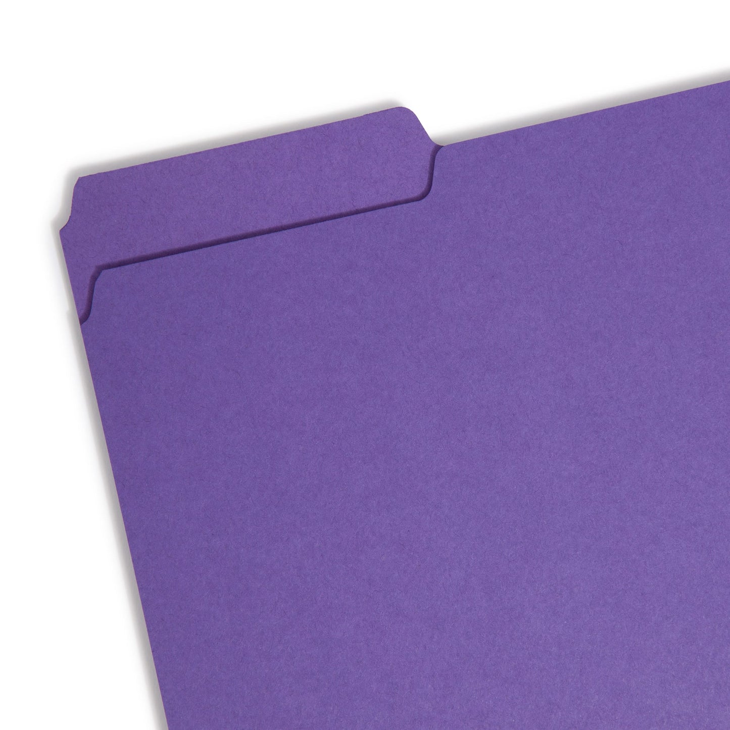 Interior File Folders, Purple Color, Letter Size, Set of 100, 086486102834
