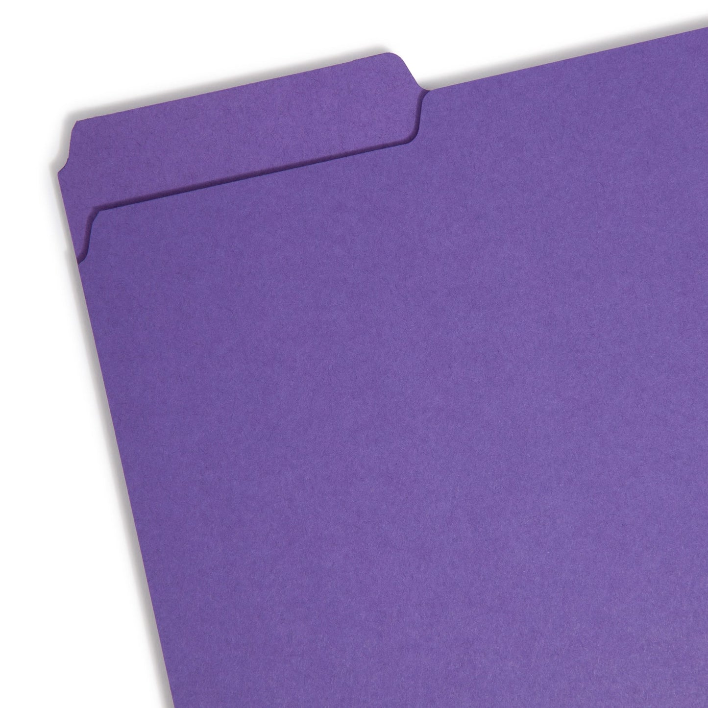 Interior File Folders, Purple Color, Letter Size, Set of 100, 086486102834