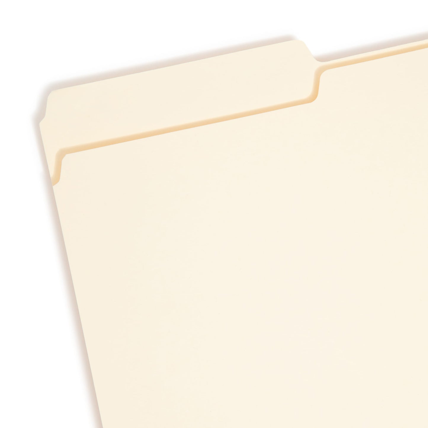 Interior File Folders, Manila Color, Legal Size, Set of 100, 086486152303