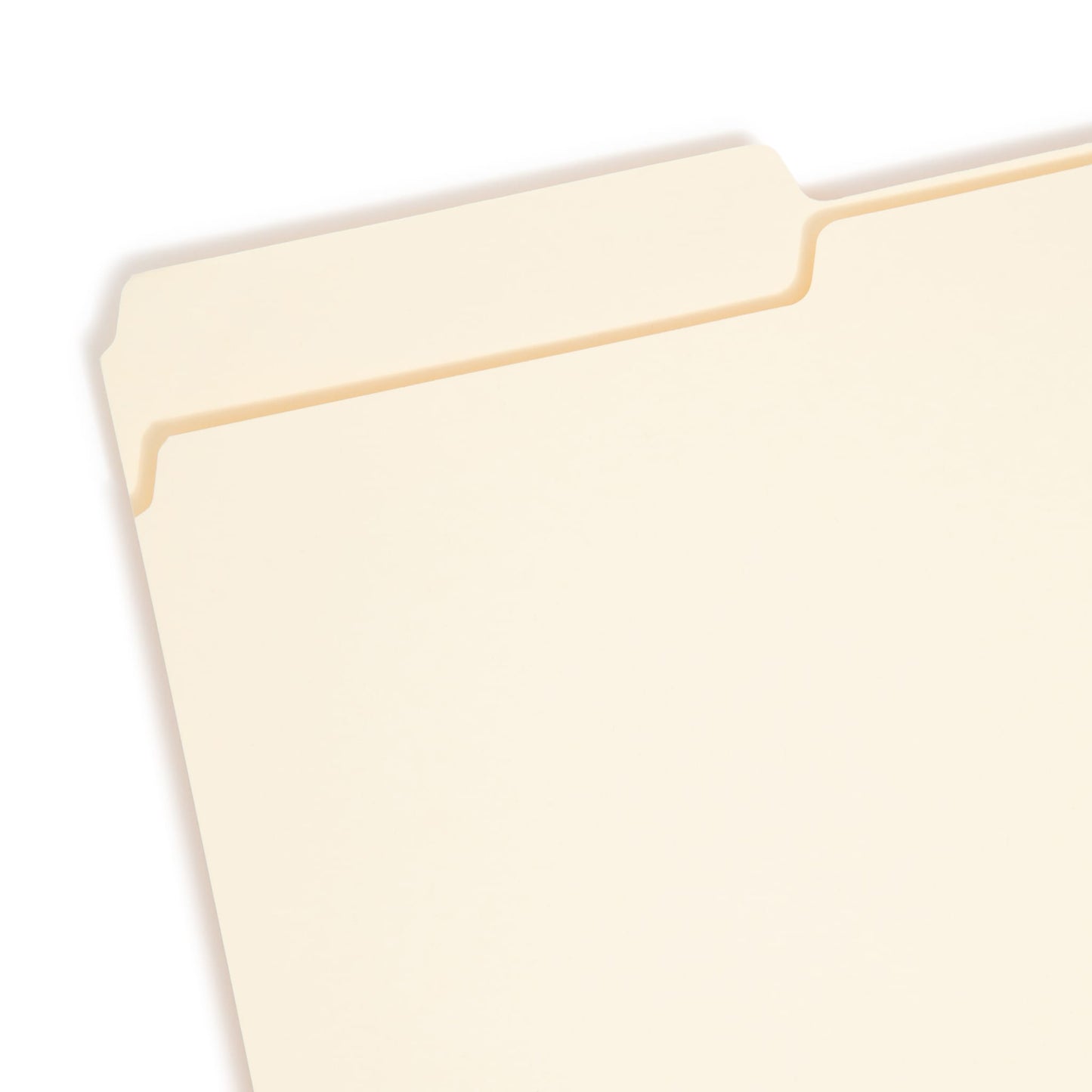 Interior File Folders, Manila Color, Legal Size, Set of 100, 086486152303