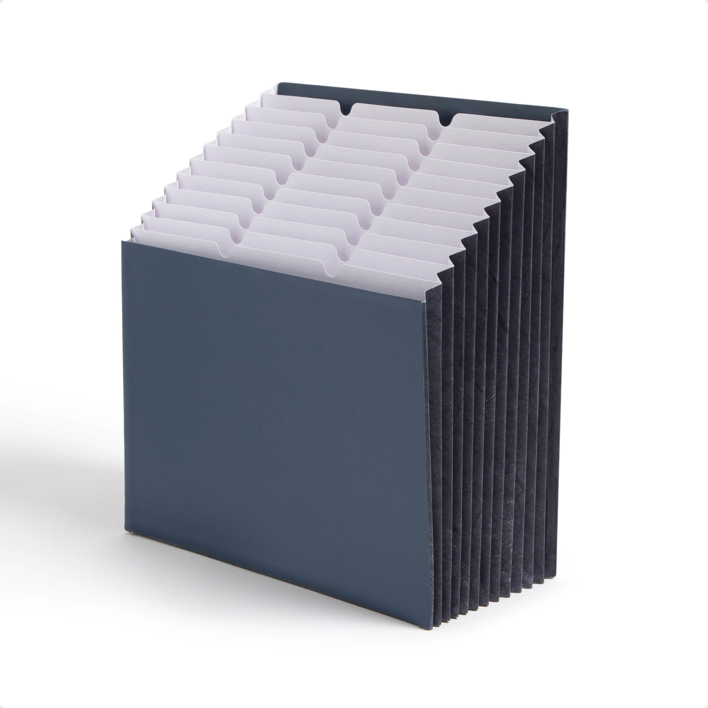 Expanding Stadium File, 12 Pockets