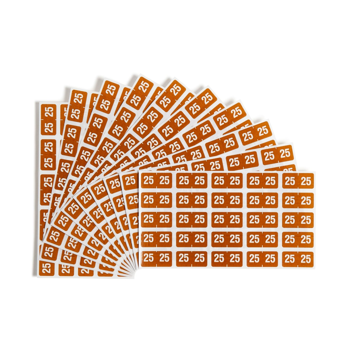 ETS Color-Coded Year Labels - Sheets, Brown Color, 1" X 1/2" Size, Set of 250, 086486679251