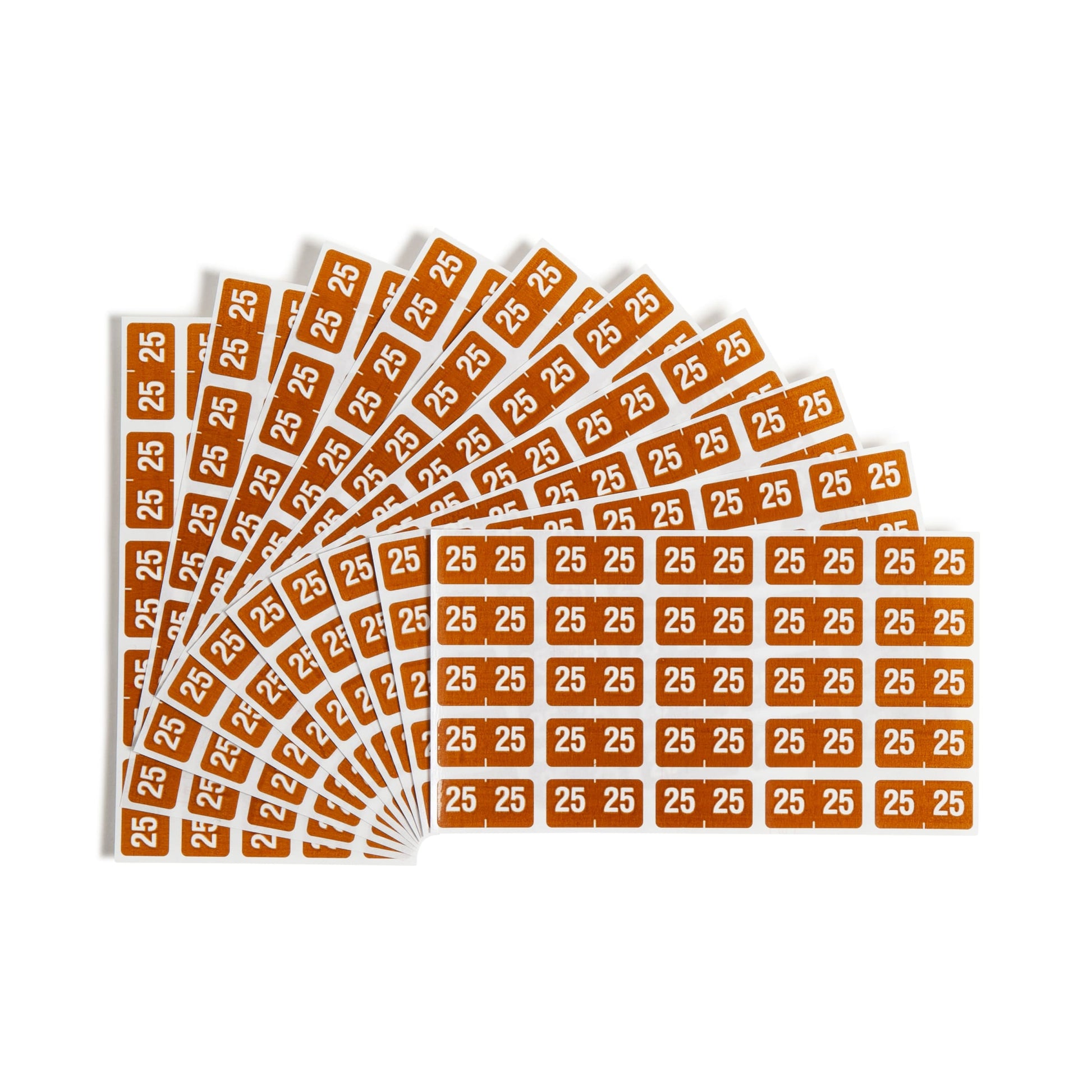 ETS Color-Coded Year Labels - Sheets, Brown Color, 1" X 1/2" Size, Set of 250, 086486679251