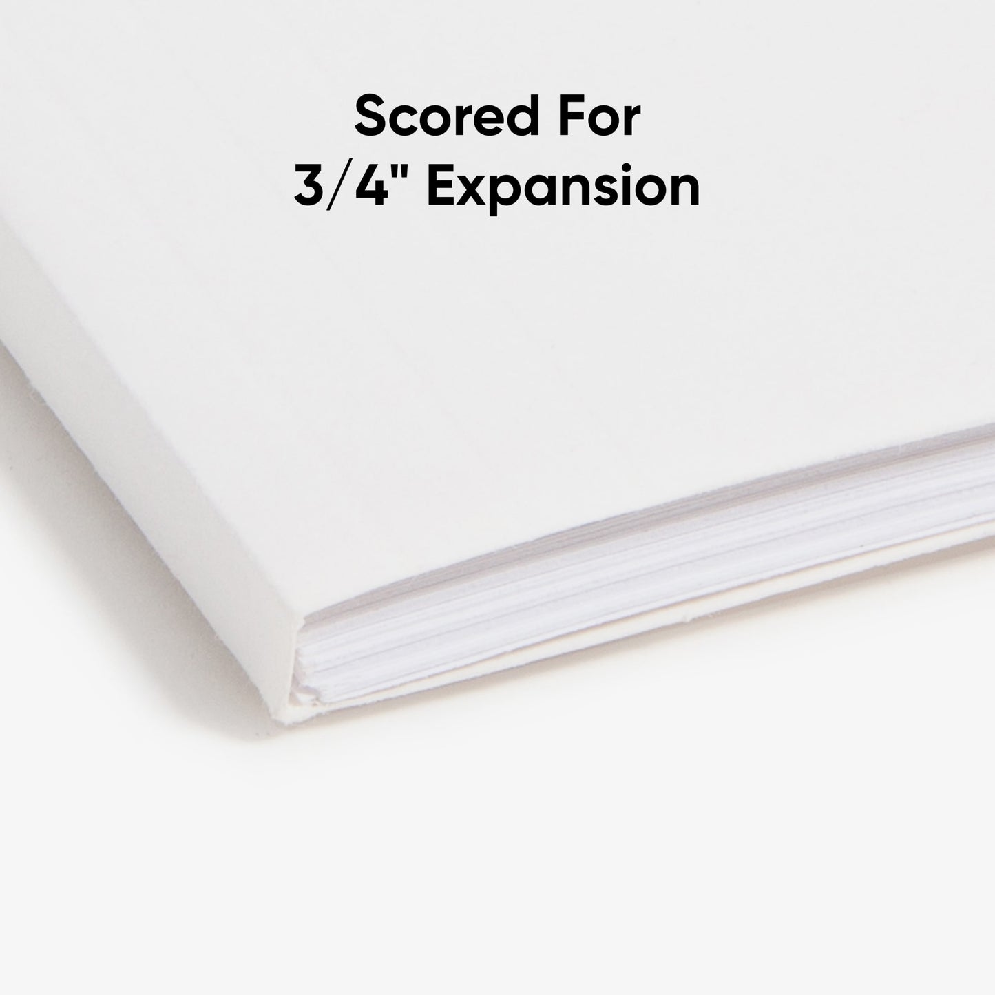 FasTab® Hanging File Folders, 1/3-Cut Tab, White Color, Letter Size, Set of 20, 086486640022