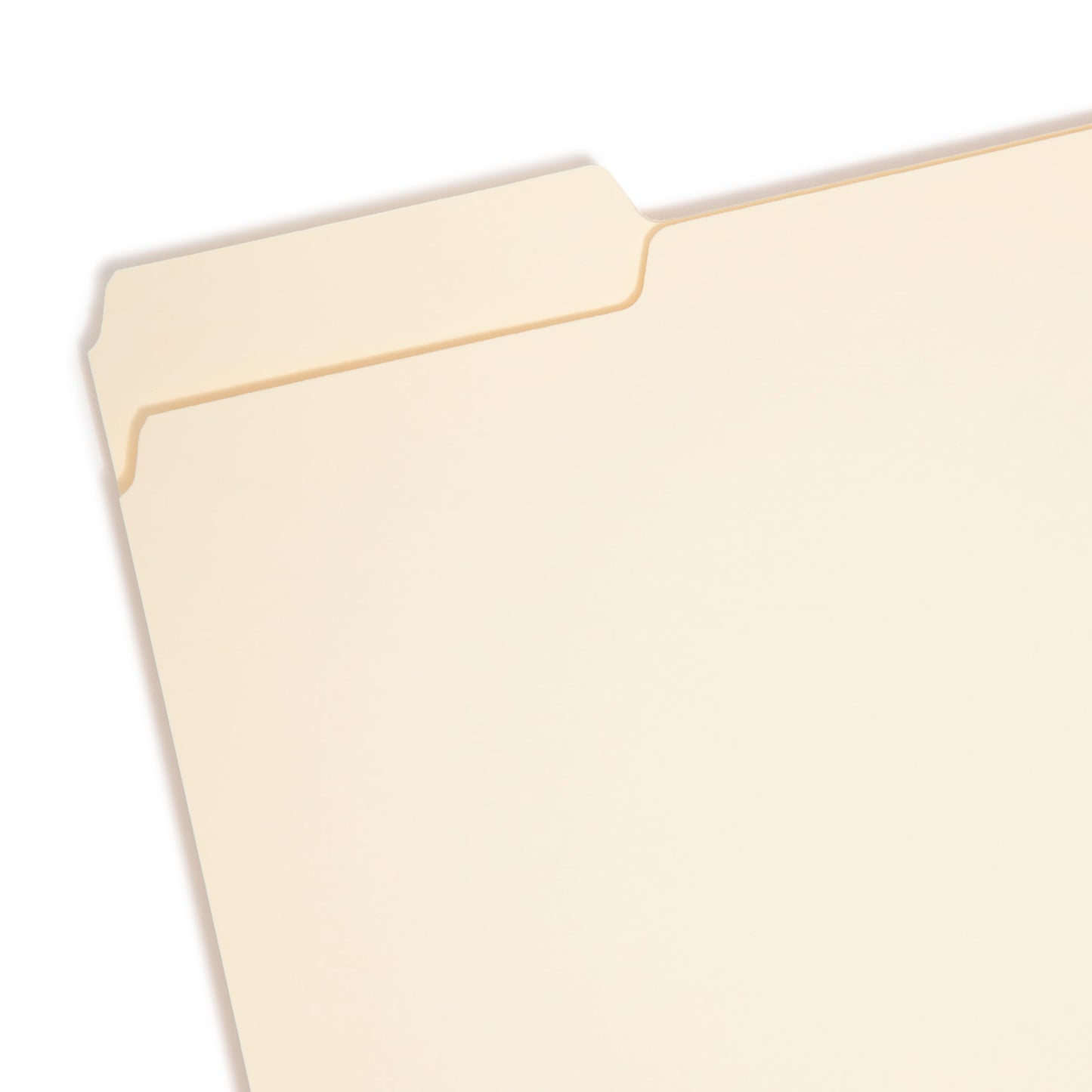 Interior File Folders, Manila Color, Letter Size, Set of 100, 086486102308