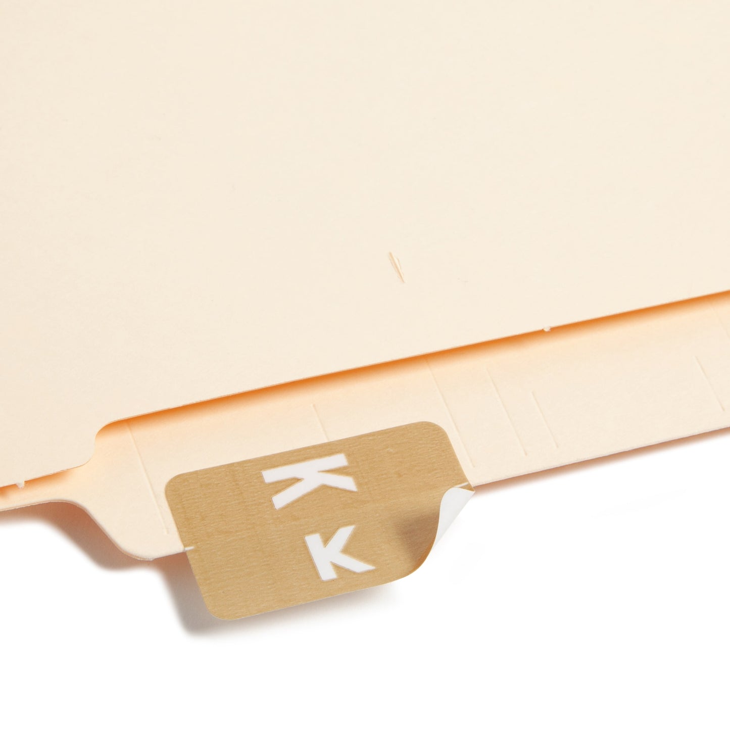 AlphaZ® ACCS Color Coded Alphabetic Labels - Sheets, Light Brown Color, 1" X 1-5/8" Size, Set of 100, 086486671811