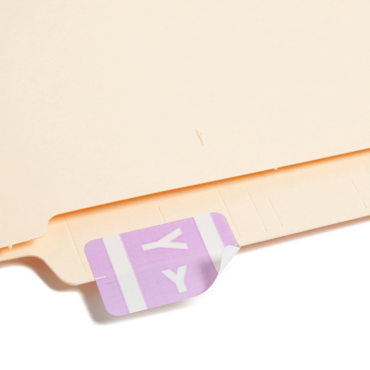 AlphaZ® ACCS Color Coded Alphabetic Labels - Sheets, Lavender Color, 1" X 1-5/8" Size, Set of 100, 086486671958