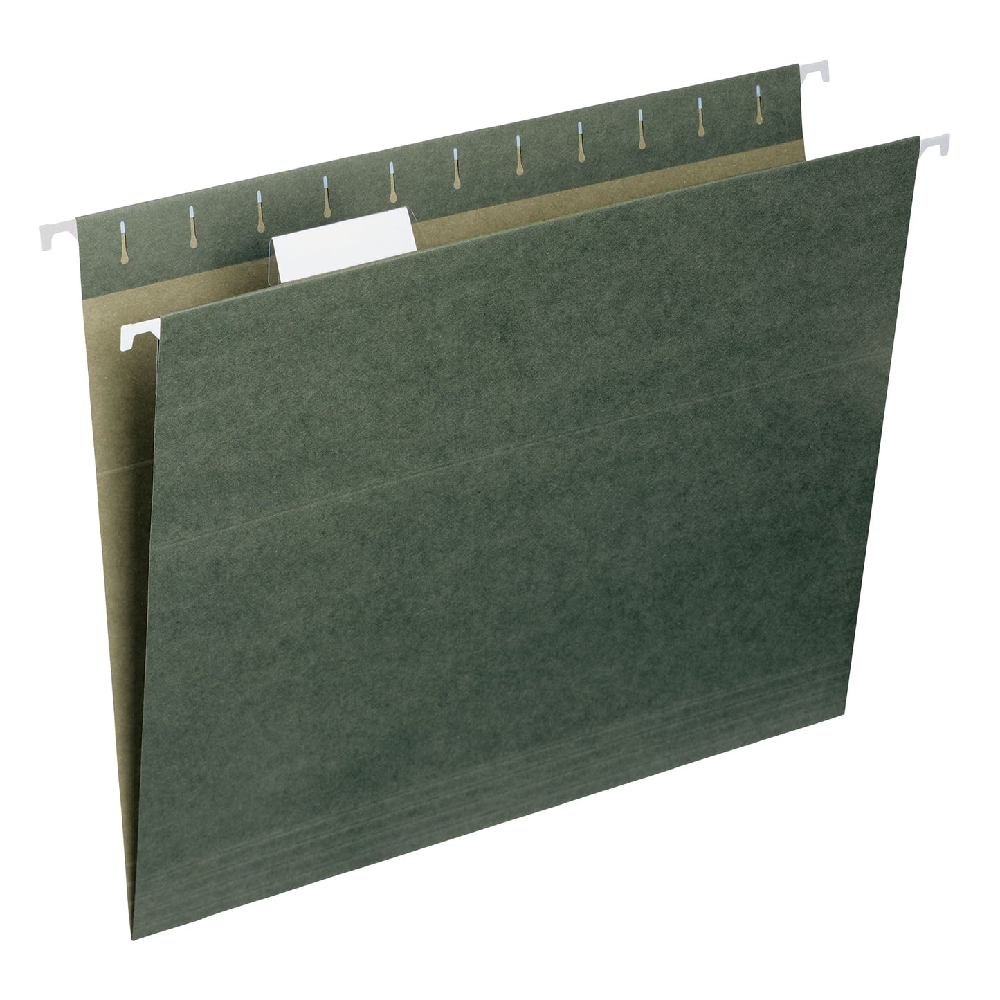 Standard Hanging File Folders with 1/5-Cut Tabs, Standard Green Color, Letter Size, Set of 50, 086486640299