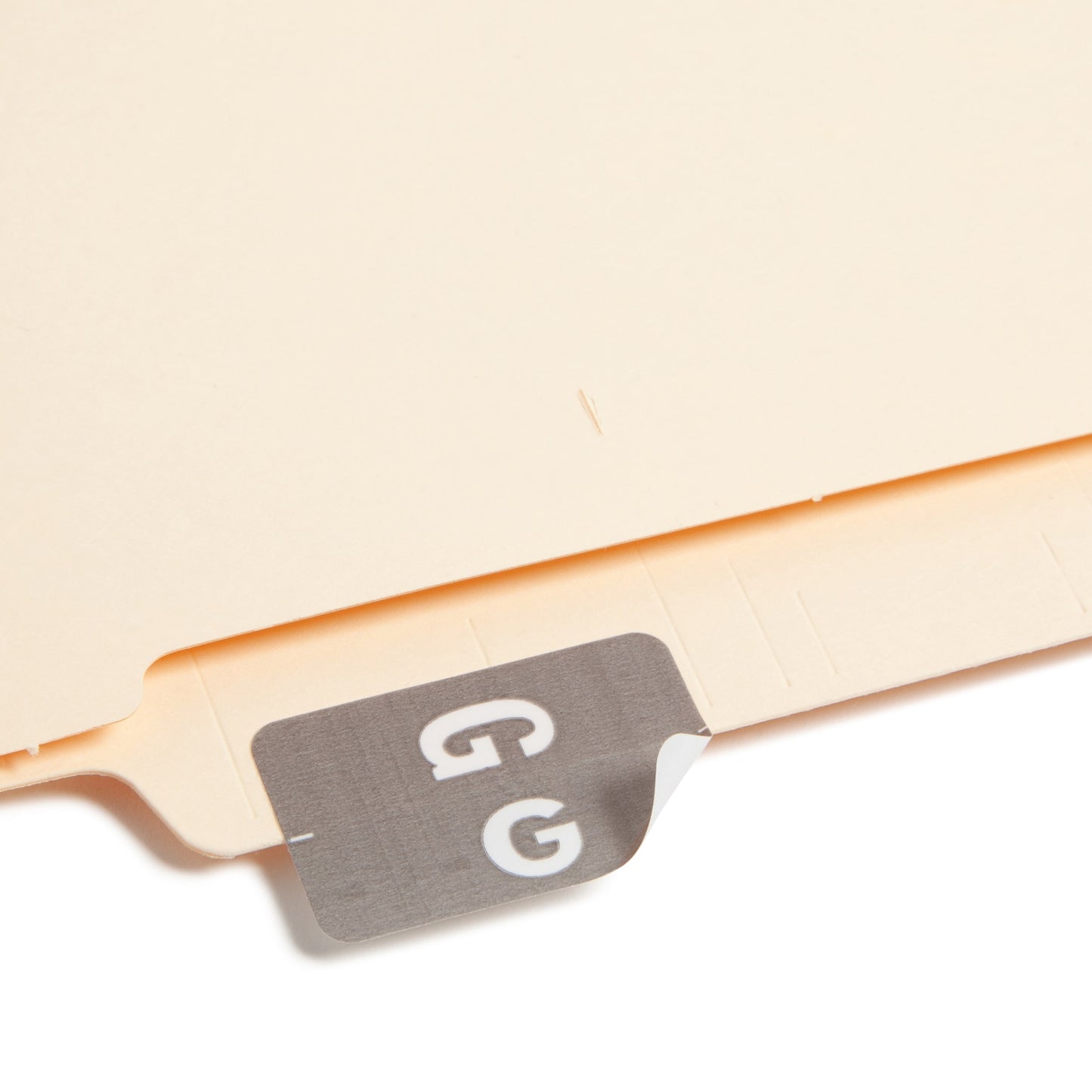 AlphaZ® ACCS Color Coded Alphabetic Labels - Sheets, Gray Color, 1" X 1-5/8" Size, Set of 100, 086486671774