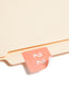 DCC Color-Coded Numeric Labels - Rolls, Pink Color, 1-1/2" X 1-1/2" Size, Set of 1, 086486674225
