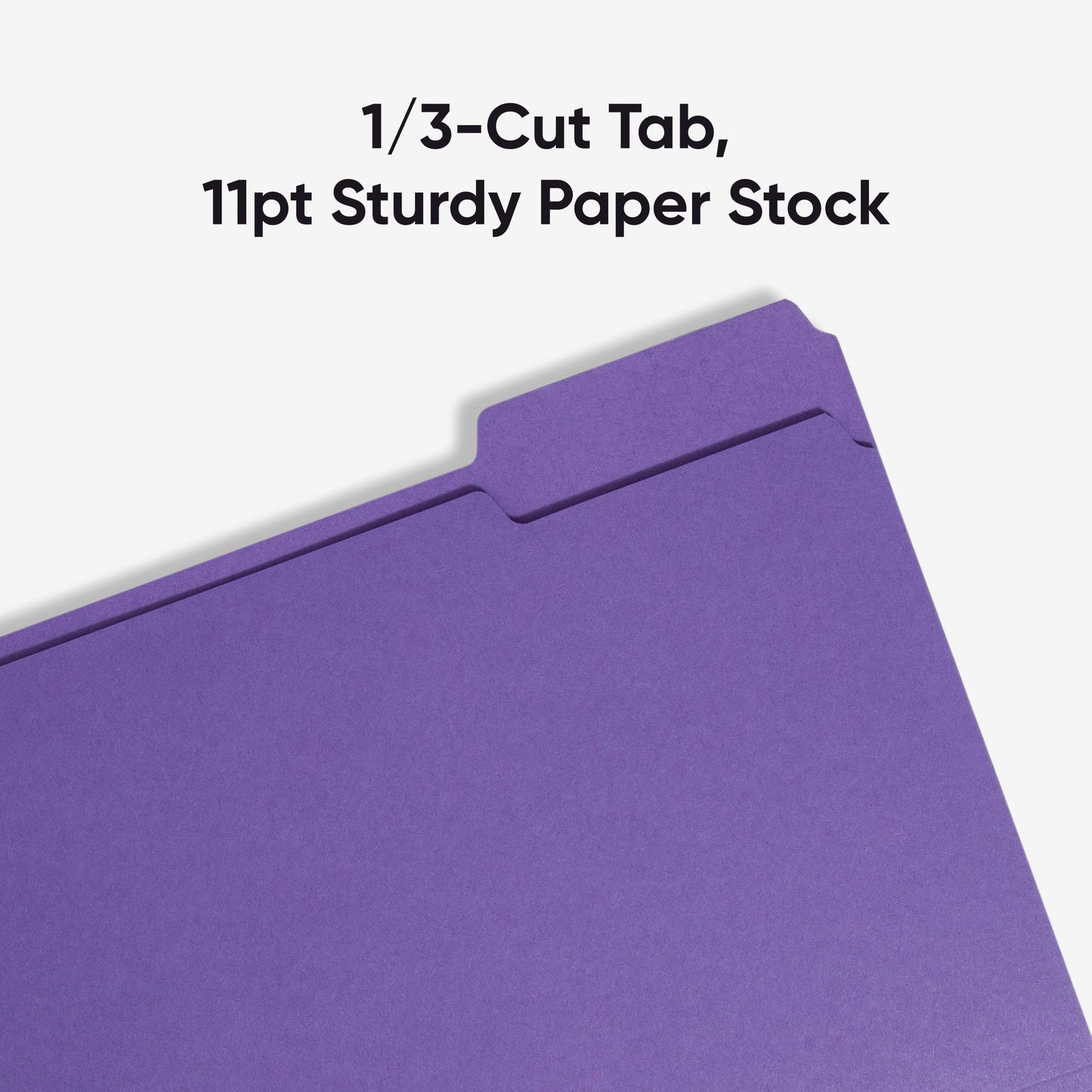 Standard File Folders, 1/3-Cut Tab, Purple Color, Letter Size, Set of 100, 086486130431