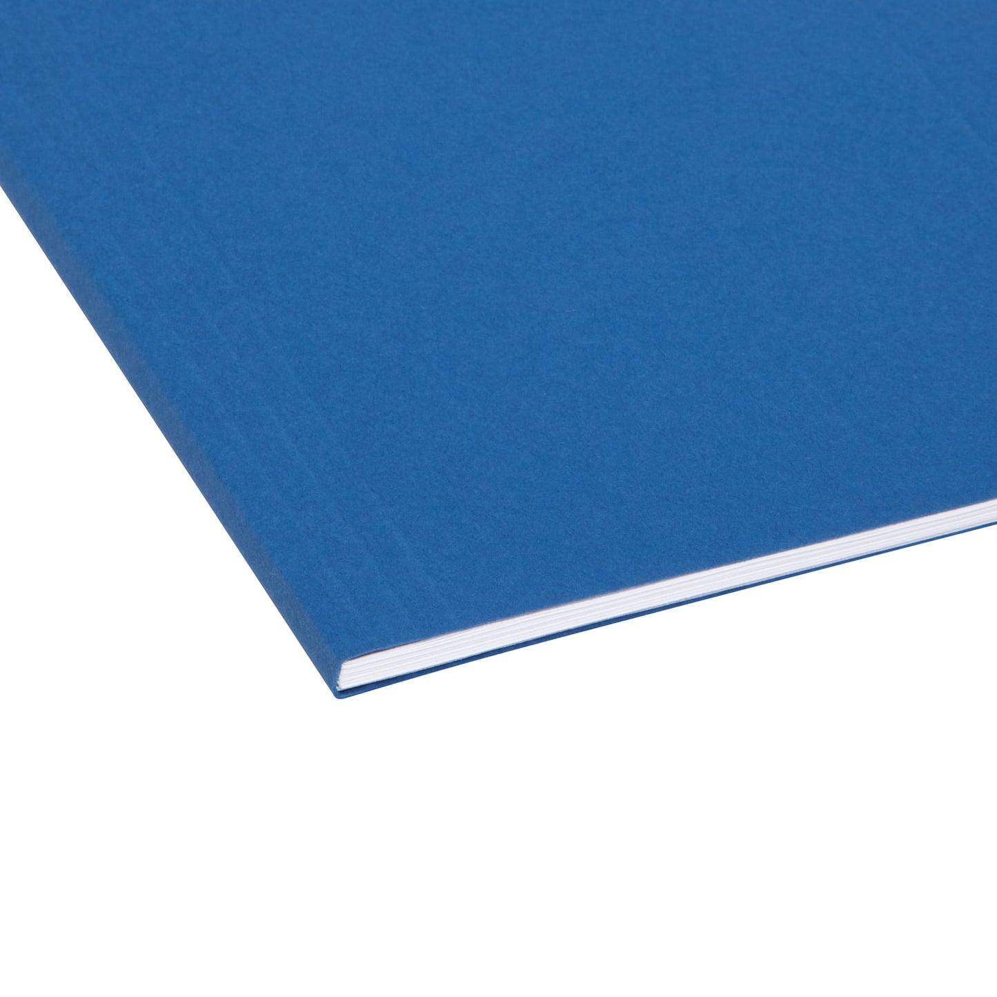 Standard Hanging File Folders with 1/5-Cut Tabs, Navy Color, Letter Size, Set of 25, 086486640572