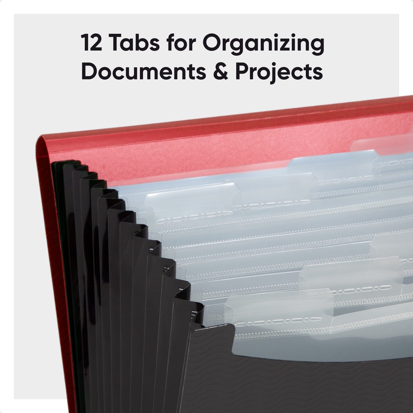 Poly Expanding Files with Flap, 12 Pockets, Wave Pattern, Red Color, Letter Size, Set of 1, 086486708661