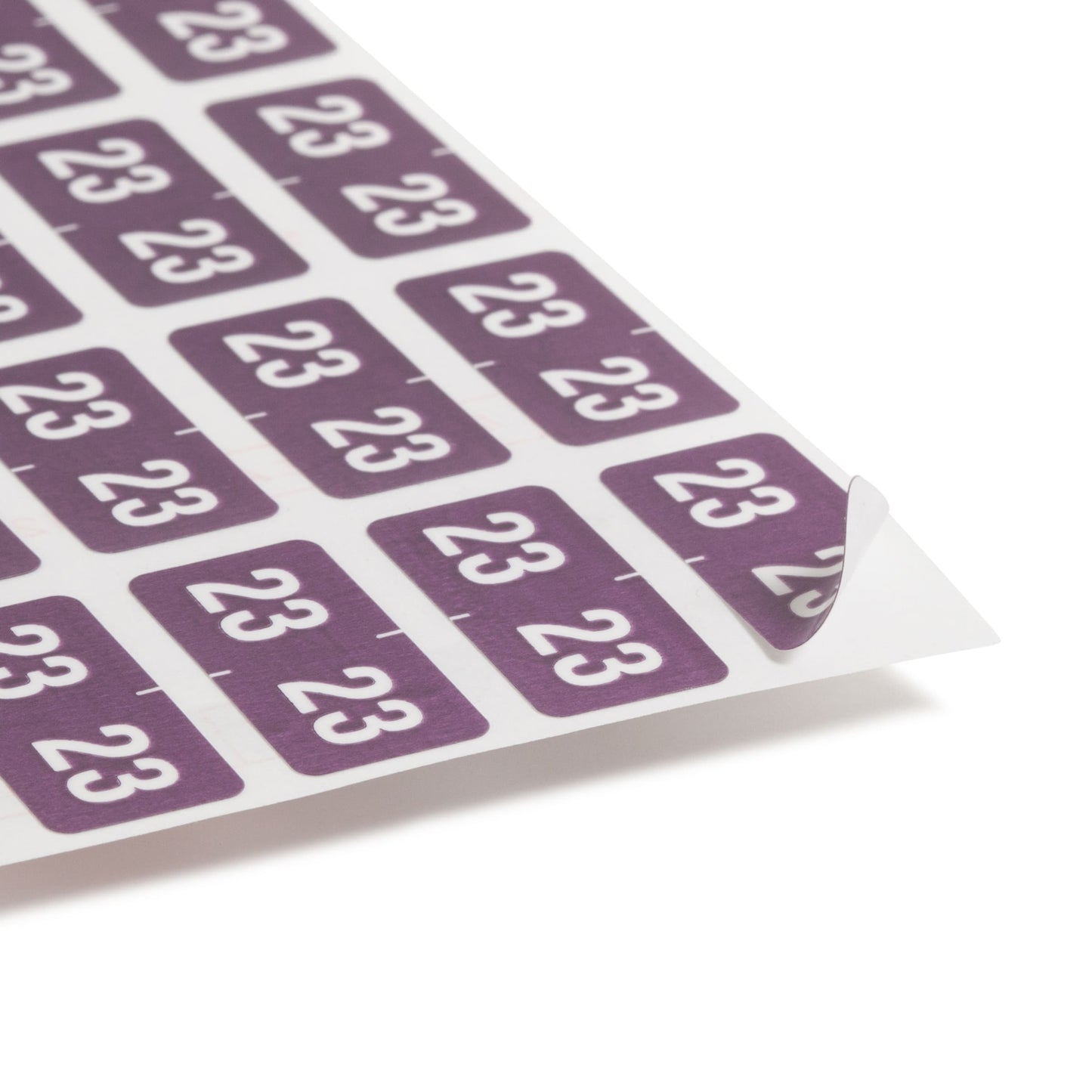 ETS Color-Coded Year Labels - Sheets, Purple Color, 1" X 1/2" Size, Set of 250, 086486679237