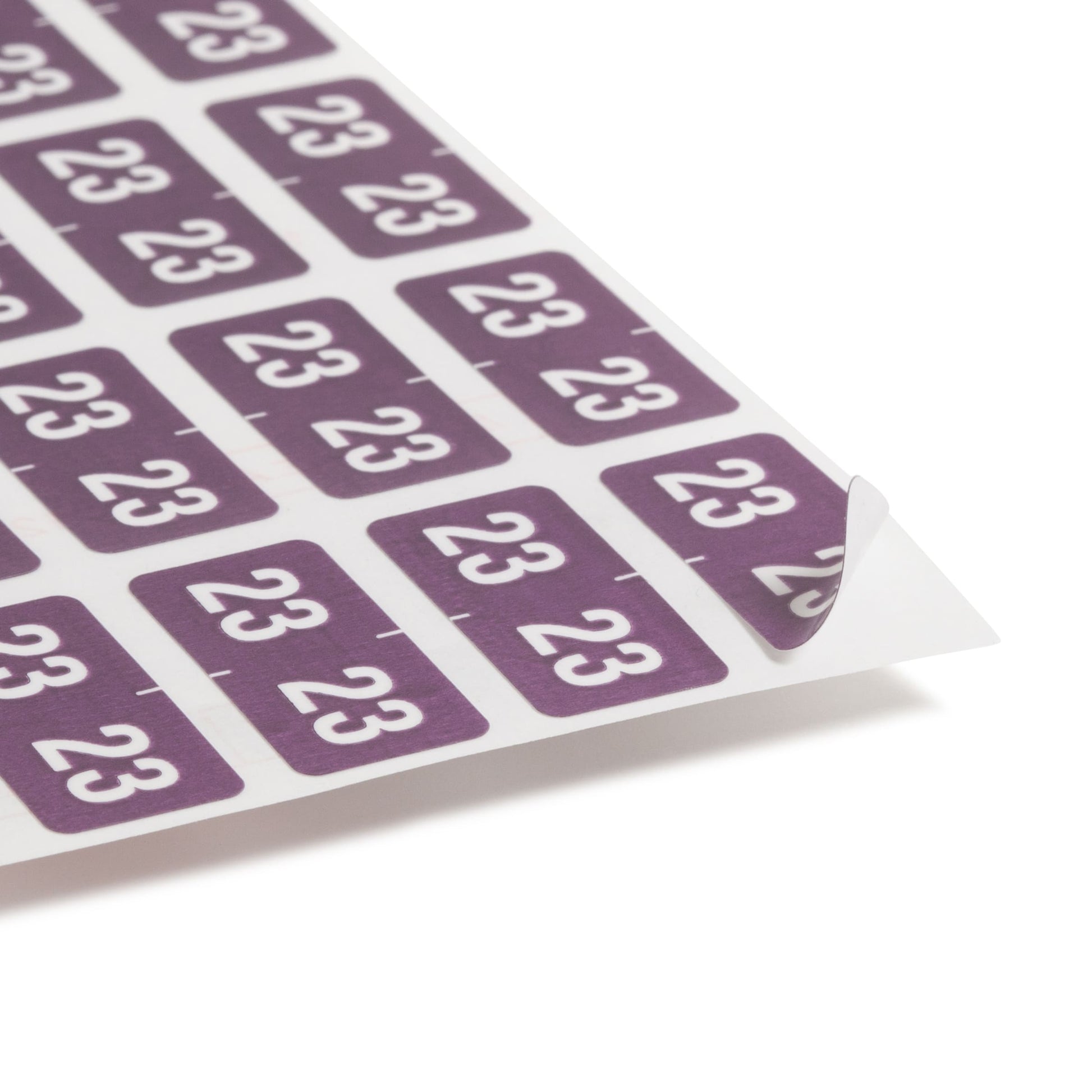 ETS Color-Coded Year Labels - Sheets, Purple Color, 1" X 1/2" Size, Set of 250, 086486679237