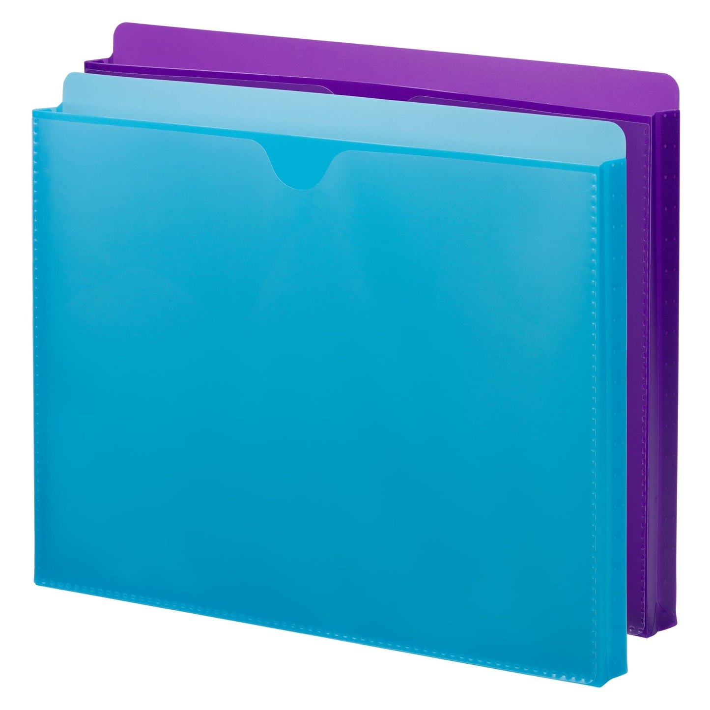 Poly Expanding Jackets with Clear Sleeve, 1-inch Expansion, Straight-Cut Tab, Assorted Colors Color, Letter Size, Set of 2, 086486896115