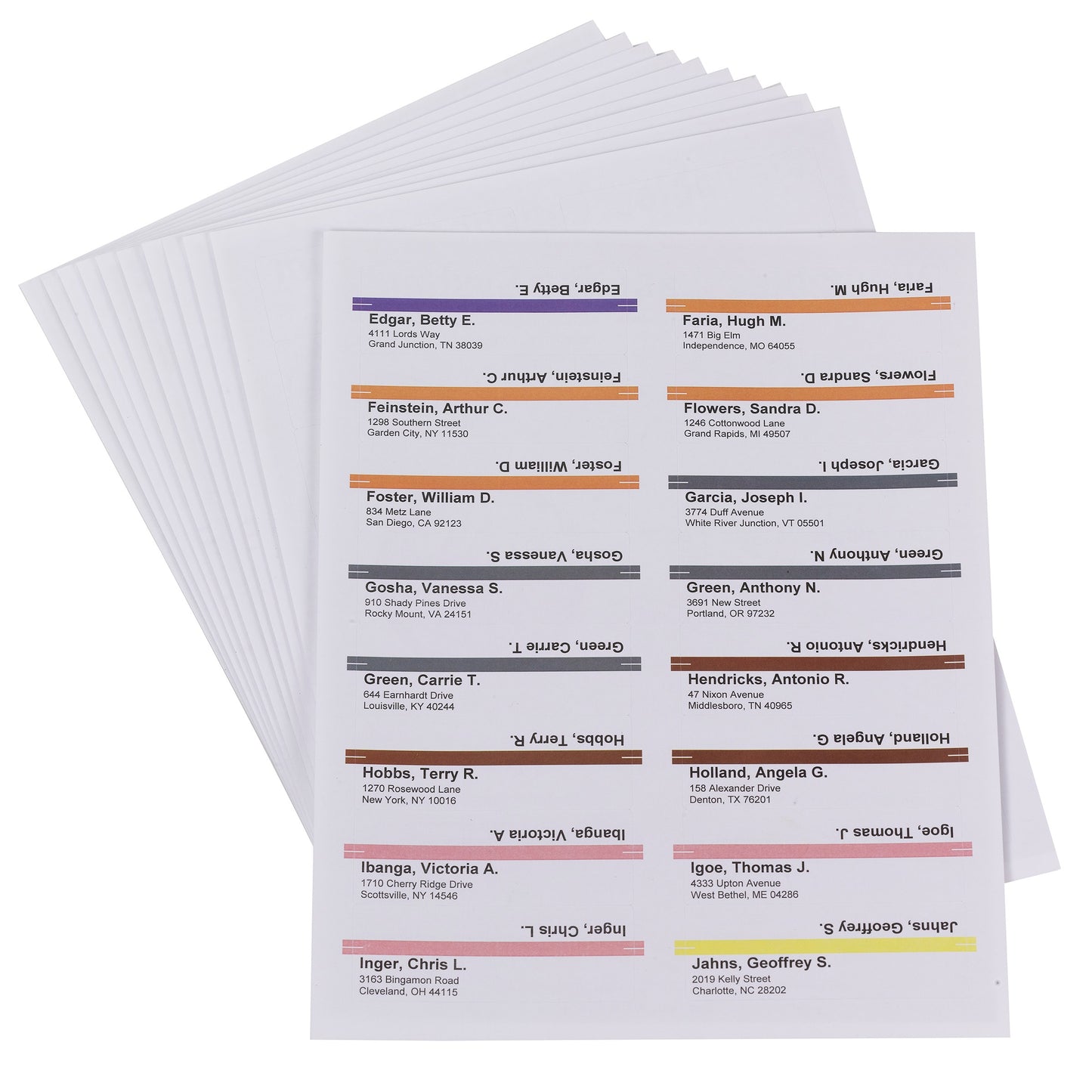 Viewables® hanging File Folder Label Refills, White Color, Set of 160, 086486649155