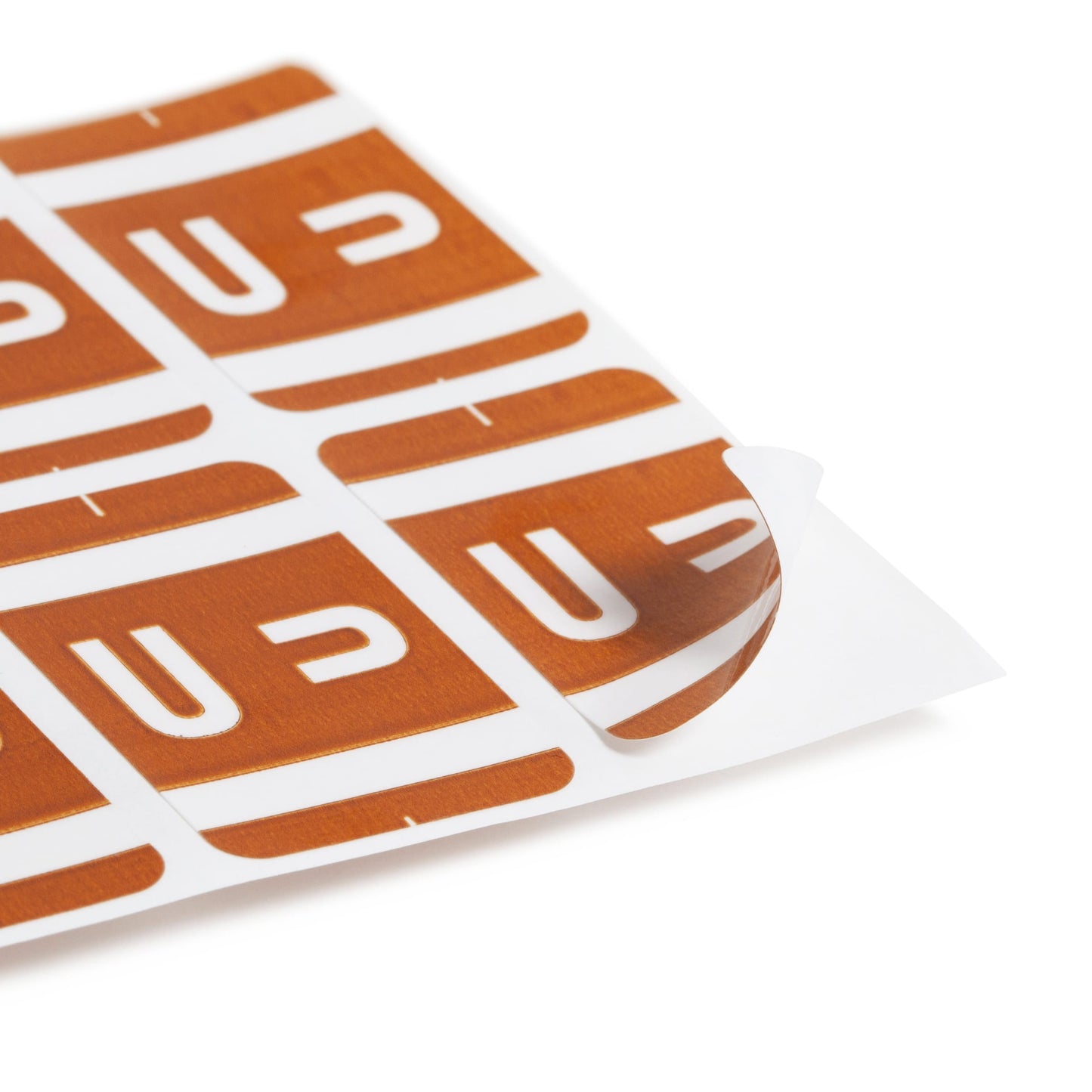 AlphaZ® ACCS Color Coded Alphabetic Labels - Sheets, Dark Brown Color, 1" X 1-5/8" Size, Set of 100, 086486671910