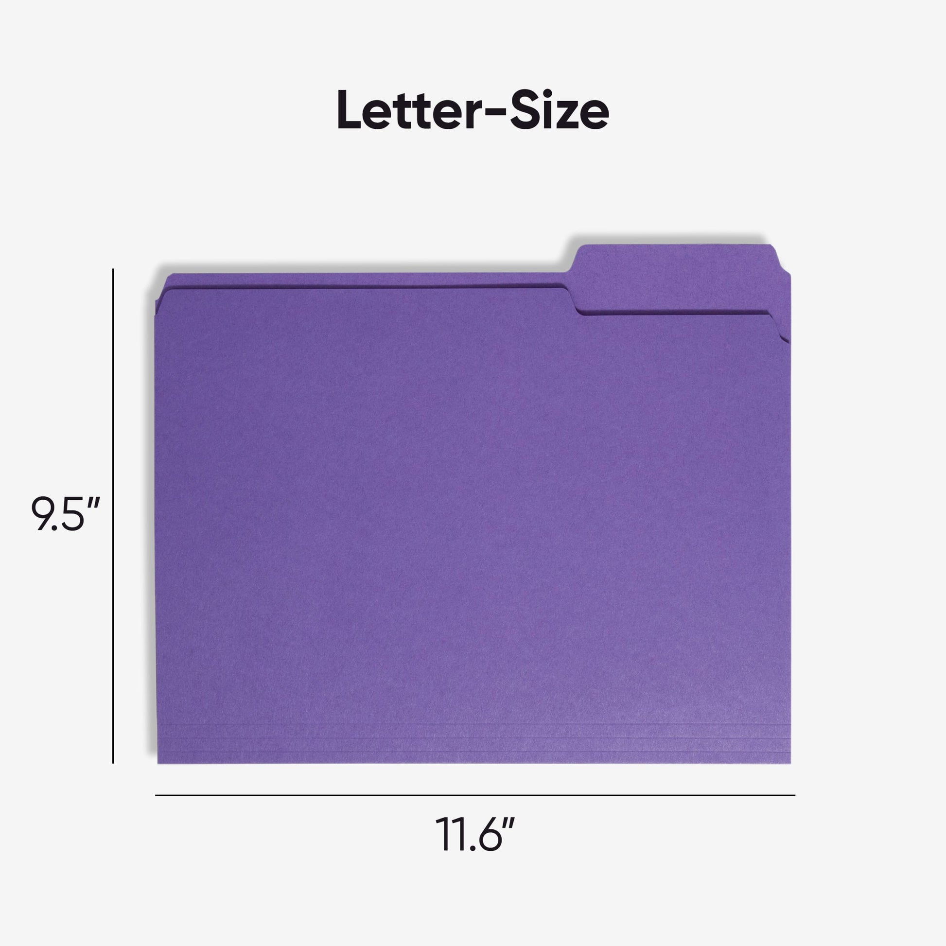 Standard File Folders, 1/3-Cut Tab, Purple Color, Letter Size, Set of 100, 086486130431