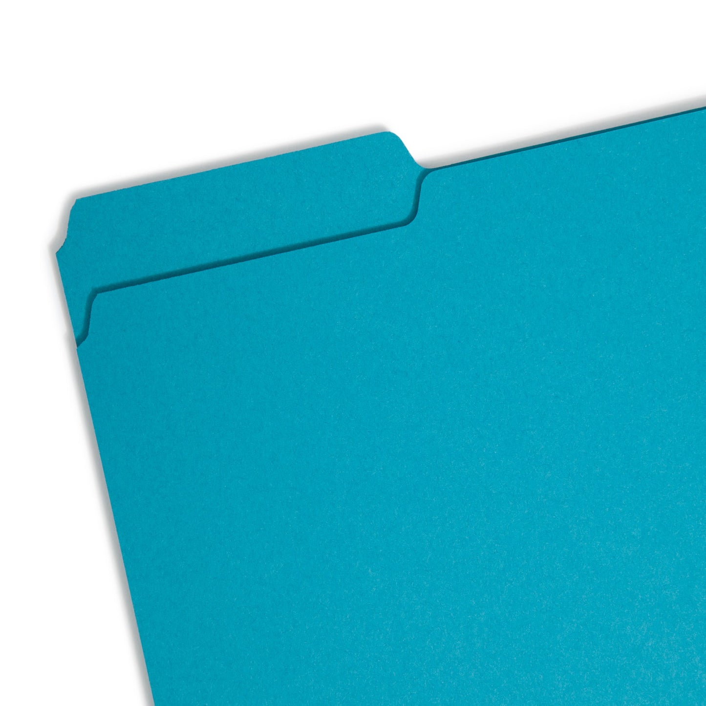 Interior File Folders, Teal Color, Letter Size, Set of 100, 086486102919