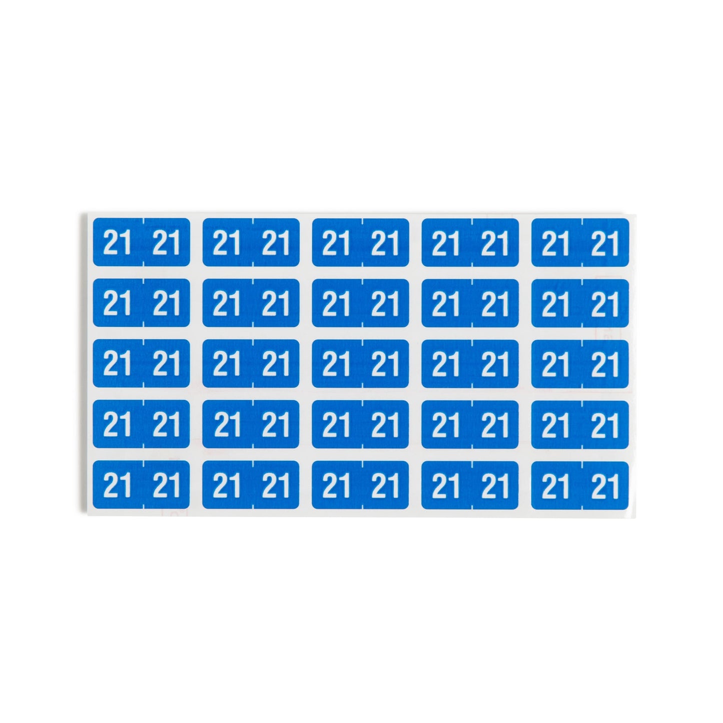 ETS Color-Coded Year Labels - Sheets, Light Blue Color, 1" X 1/2" Size, Set of 250, 086486679213