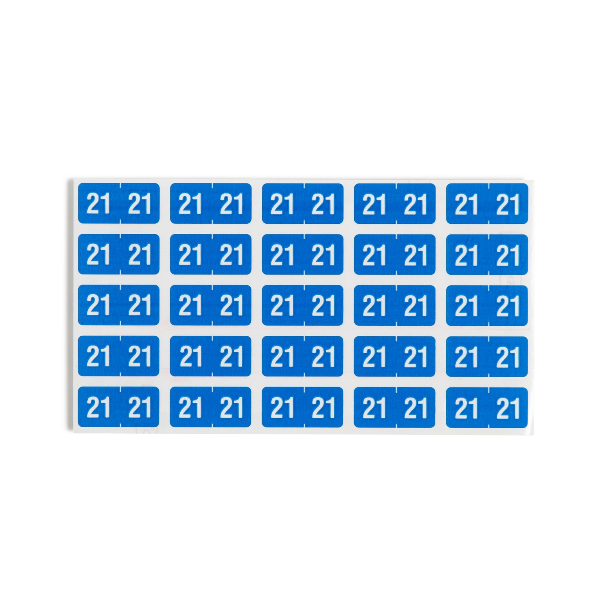 ETS Color-Coded Year Labels - Sheets, Light Blue Color, 1" X 1/2" Size, Set of 250, 086486679213