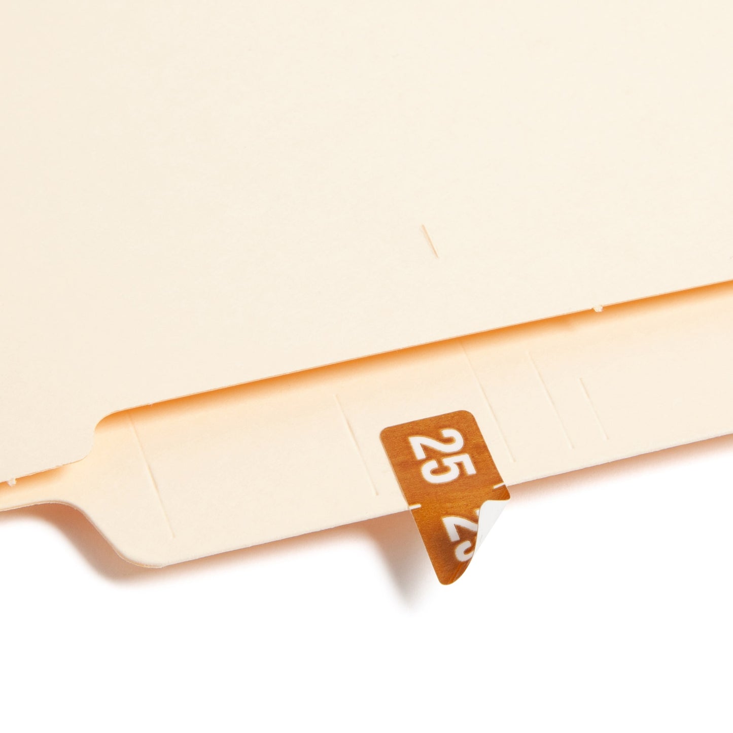 ETS Color-Coded Year Labels - Sheets, Brown Color, 1" X 1/2" Size, Set of 250, 086486679251