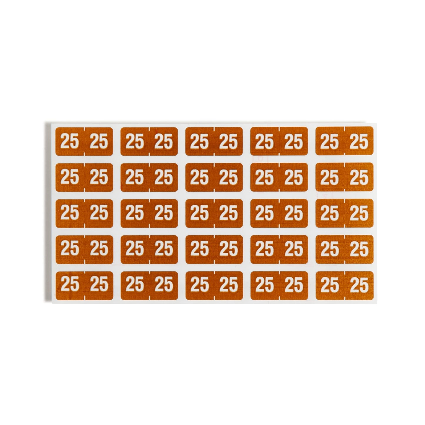 ETS Color-Coded Year Labels - Sheets, Brown Color, 1" X 1/2" Size, Set of 250, 086486679251