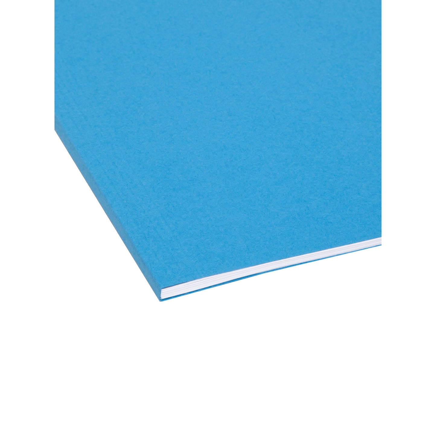 Standard Hanging File Folders, Blue Color, Letter Size, Set of 25, 086486644396