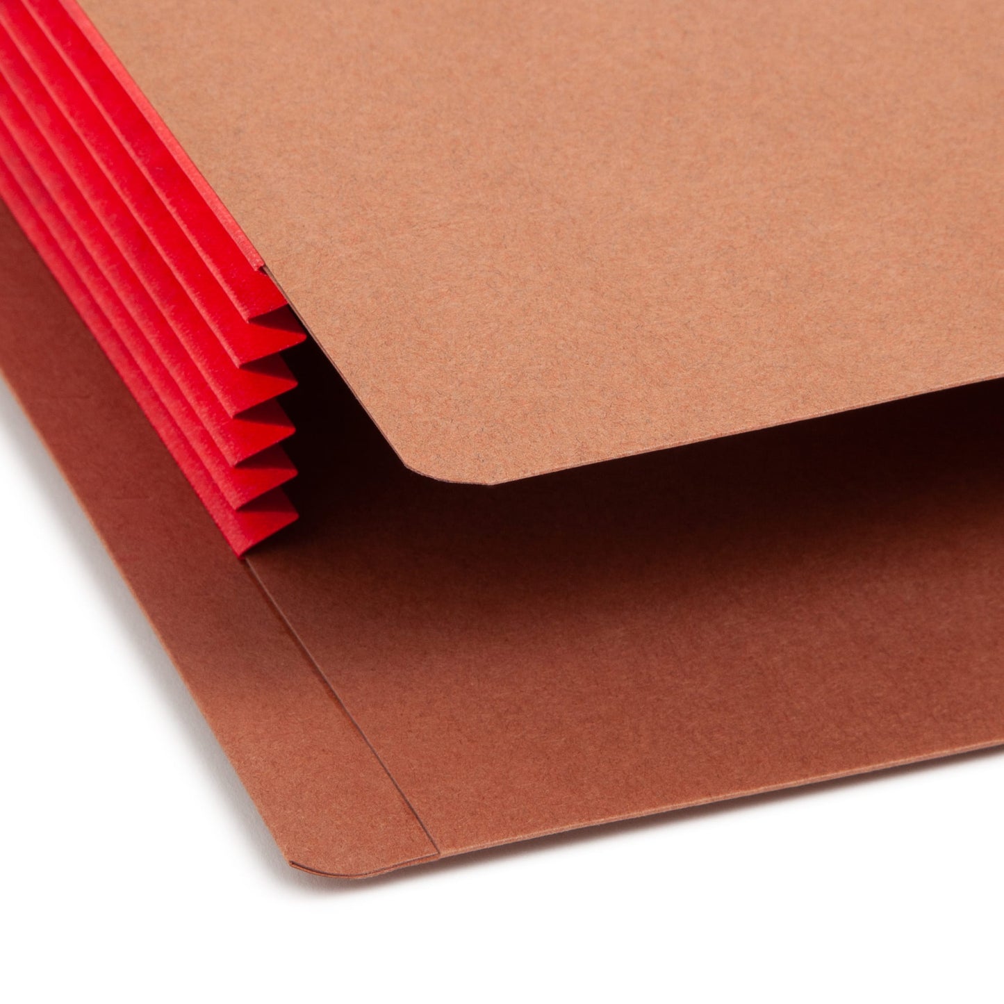 Reinforced End Tab File Pockets, Straight-Cut Tab, 5-1/4 inch Expansion, Red Color, Extra Wide Letter Size, Set of 10, 30086486736962