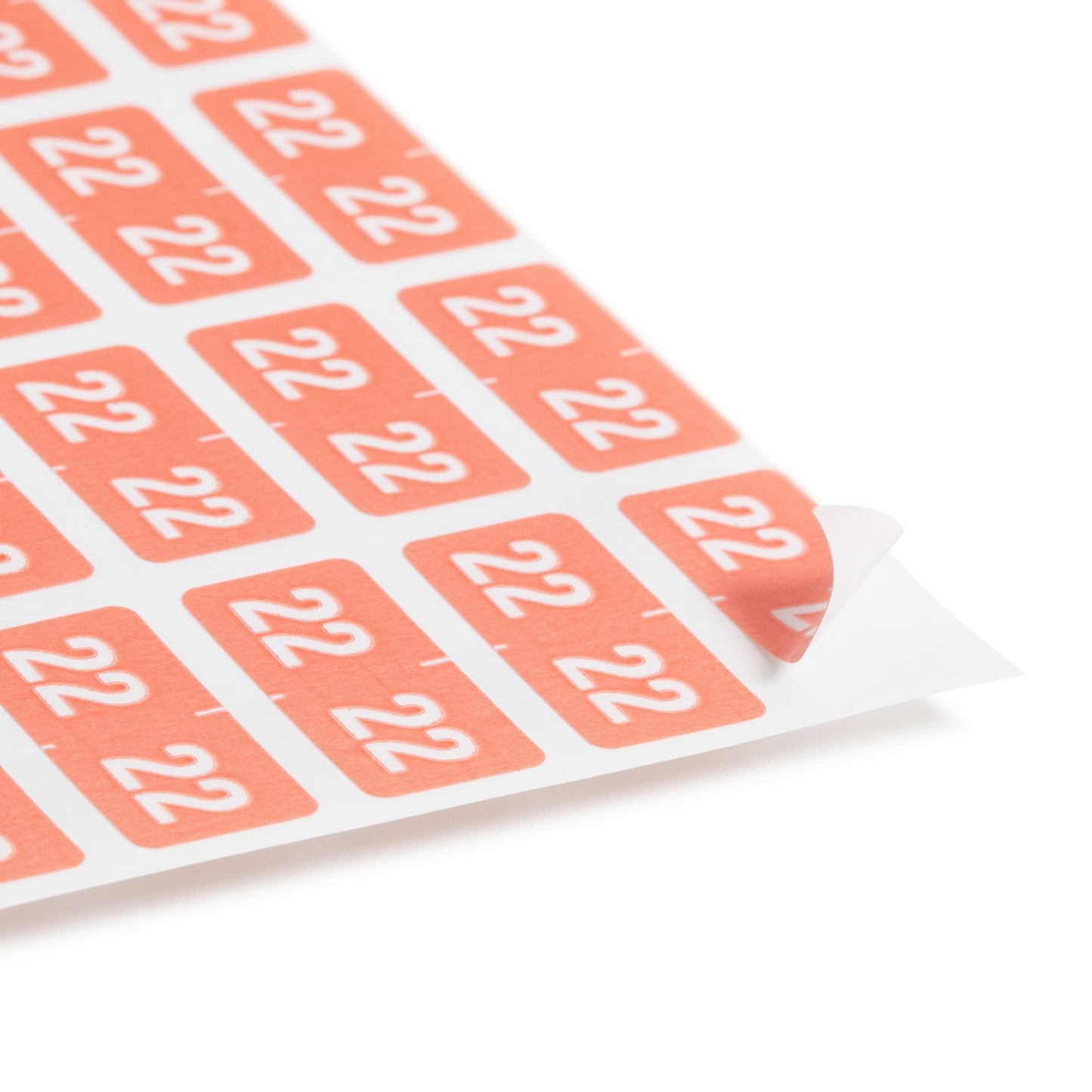 ETS Color-Coded Year Labels - Sheets, Pink Color, 1" X 1/2" Size, Set of 250, 086486679220