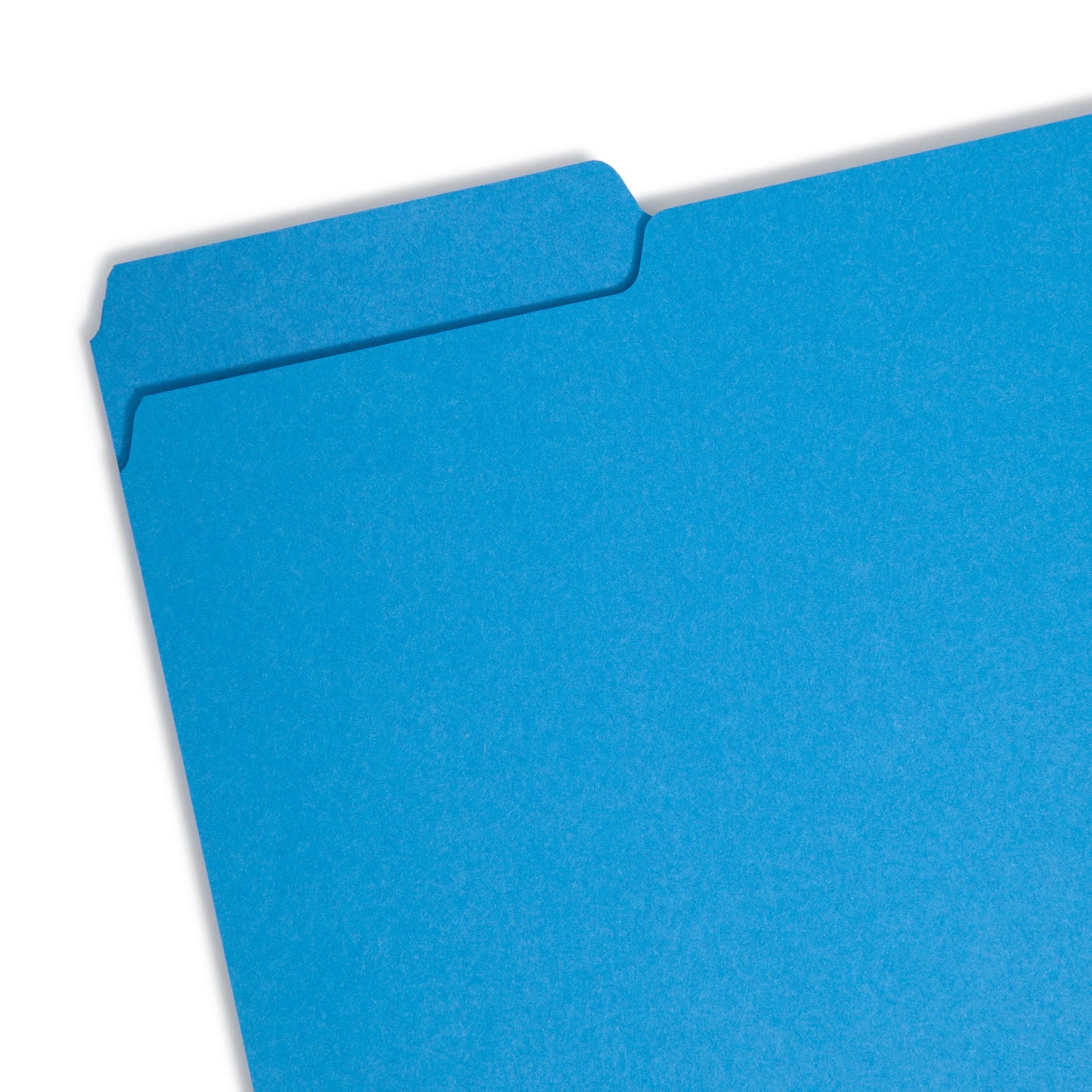 Interior File Folders, Blue Color, Letter Size, Set of 100, 086486102872