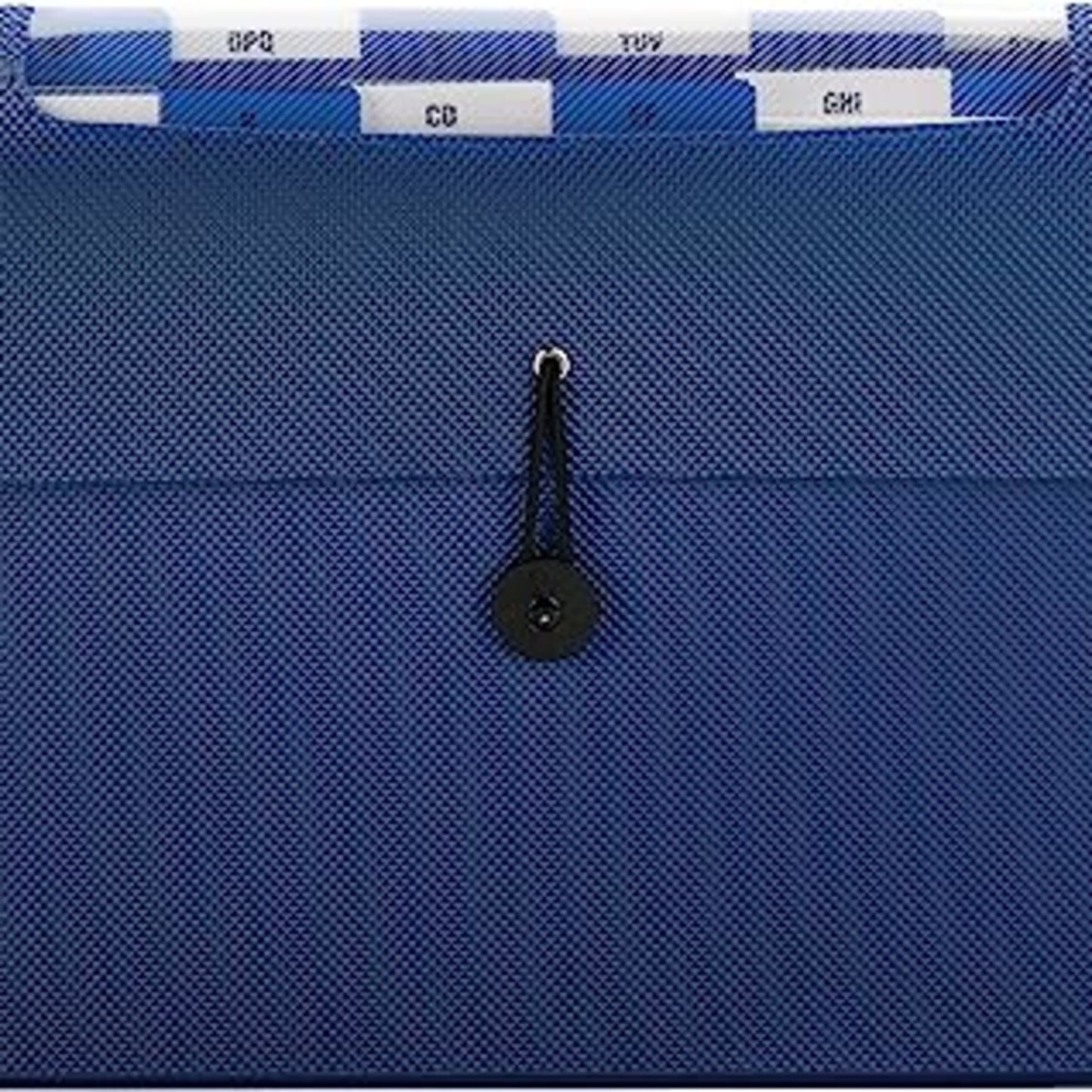 All-in-One Poly Organizer, 12 Pockets, Flap and Cord Closure, Blue Color, Letter Size, Set of 1, 0086486709071