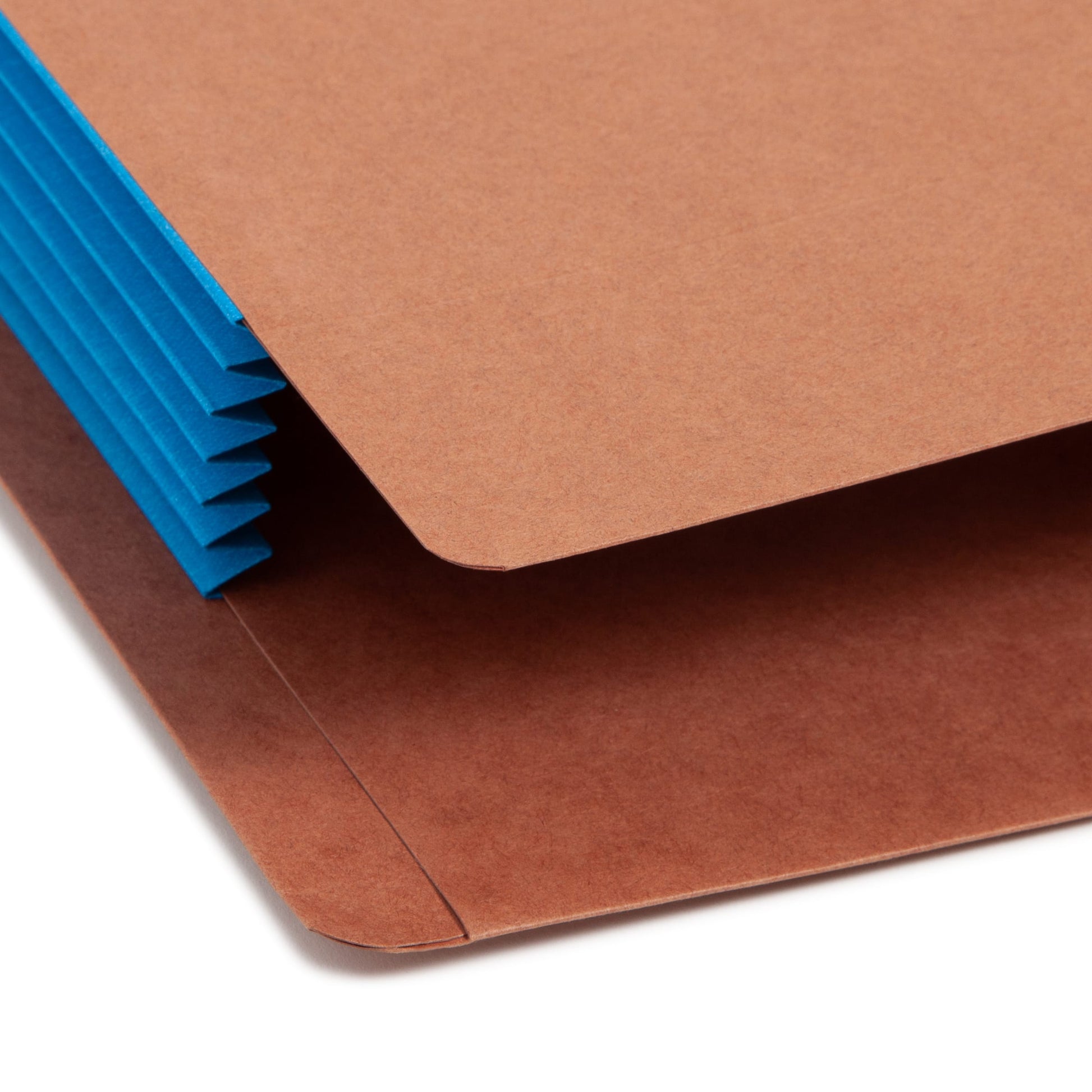 Reinforced End Tab File Pockets, Straight-Cut Tab, 5-1/4 inch Expansion, Blue Color, Extra Wide Legal Size, Set of 10, 30086486746893