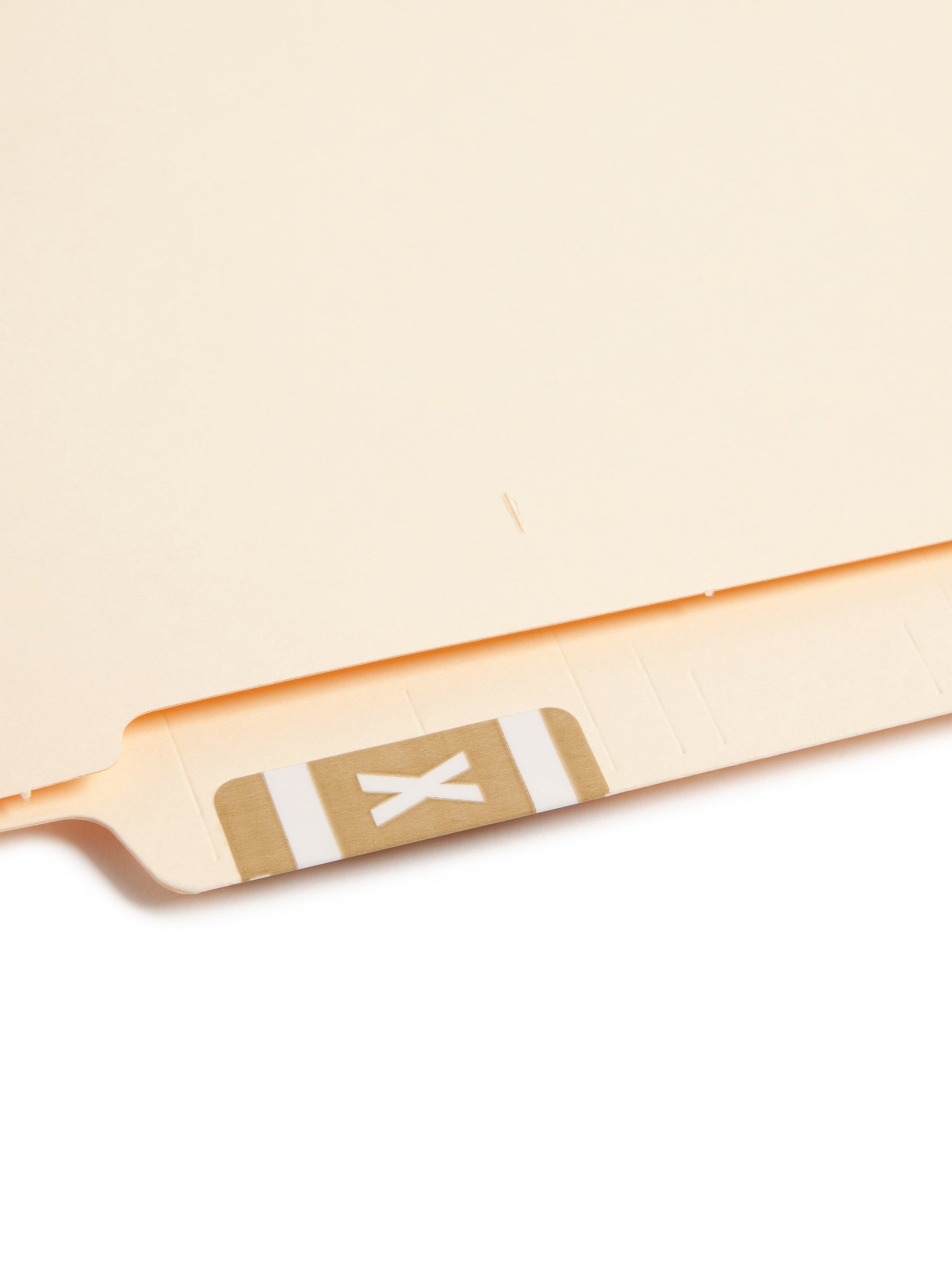 AlphaZ® ACCS Color Coded Alphabetic Labels - Sheets, Light Brown Color, 1" X 1-5/8" Size, Set of 100, 086486671941