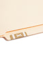 AlphaZ® ACCS Color Coded Alphabetic Labels - Sheets, Light Brown Color, 1" X 1-5/8" Size, Set of 100, 086486671941
