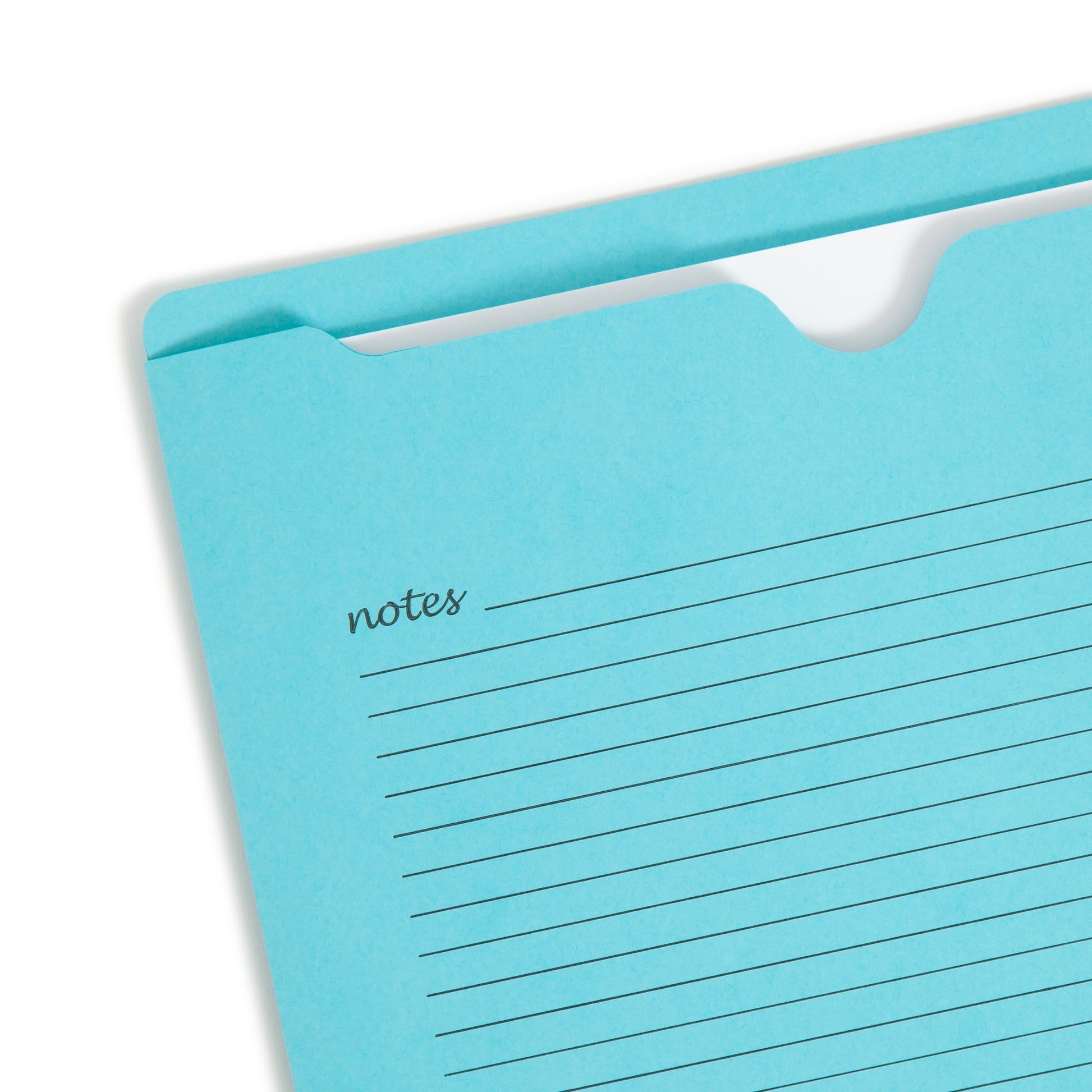 Notes File Jackets, Reinforced Straight-Cut Tab, Assorted Colors Color, Letter Size, Set of 12, 086486756167