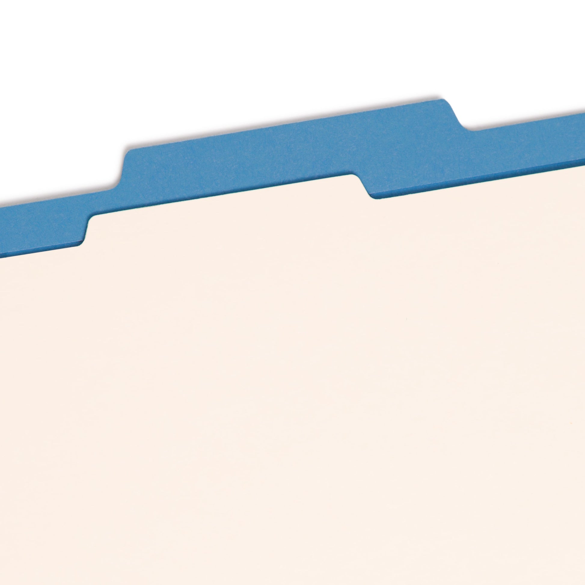 Classification File Folders, 1 Divider, 2 inch Expansion, Blue Color, Letter Size, Set of 10, 30086486137011