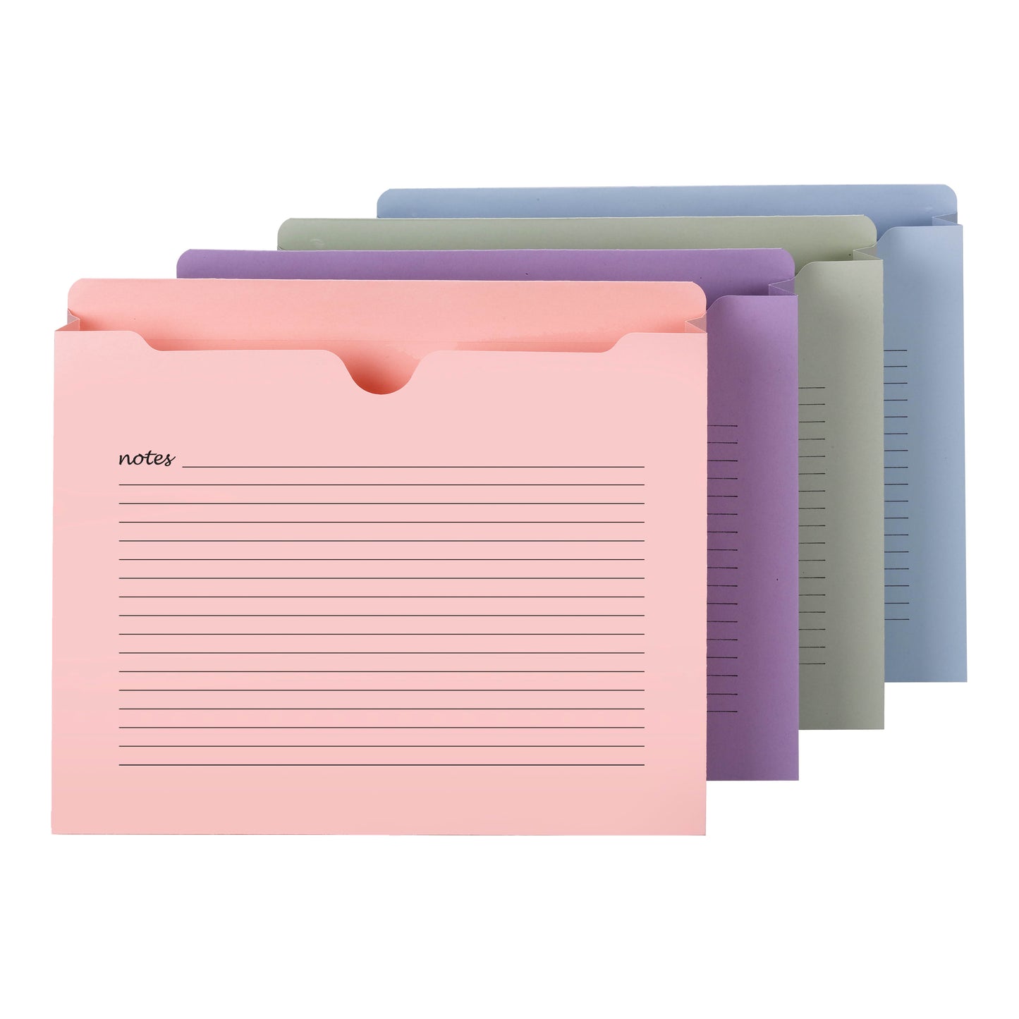 Notes File Jackets, Straight-Cut Tab, 2 Inch Expansion, Assorted Colors Color, Letter Size, Set of 12, 086486756952