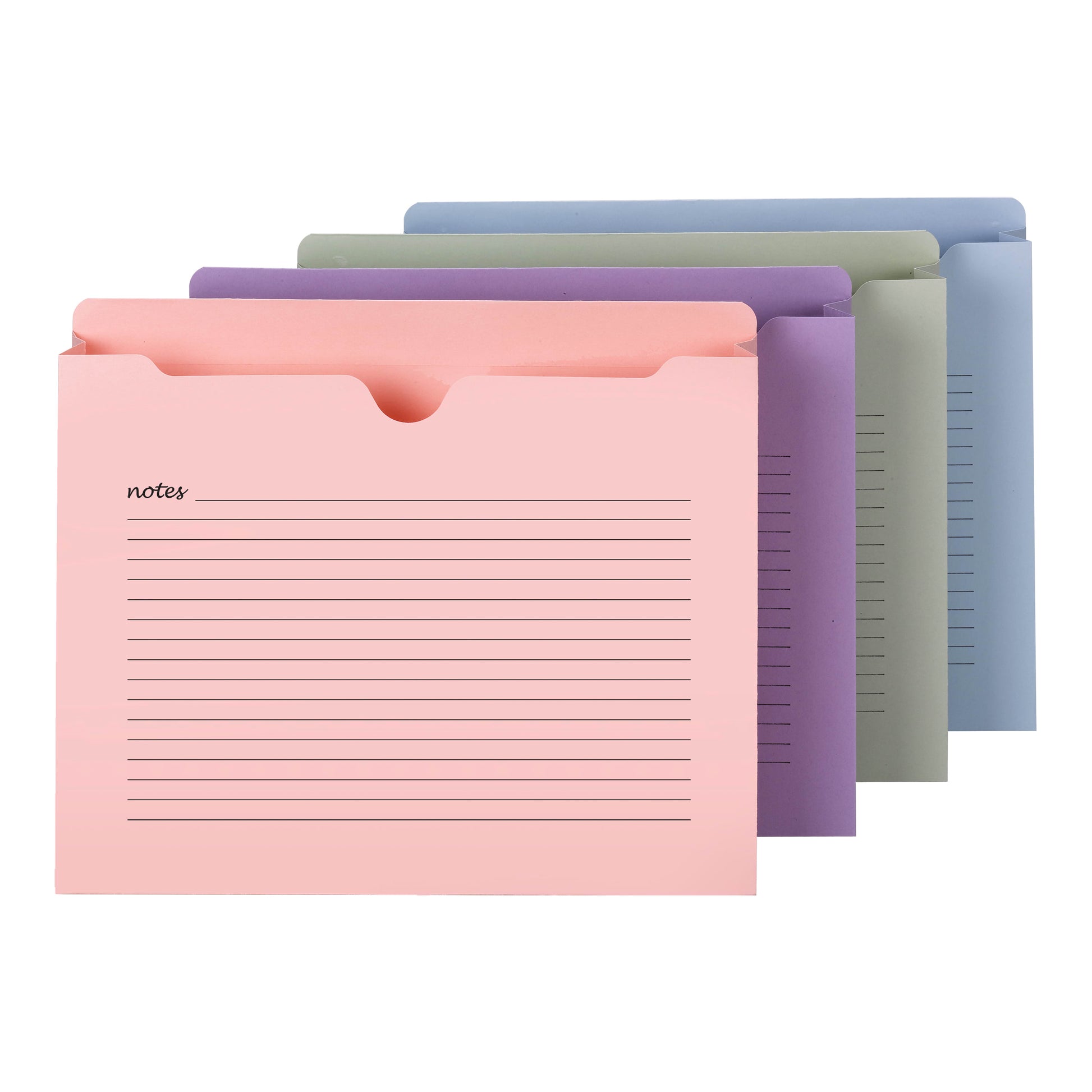 Notes File Jackets, Straight-Cut Tab, 2 Inch Expansion, Assorted Colors Color, Letter Size, Set of 12, 086486756952
