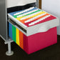 Standard Hanging File Folders with 1/5-Cut Tabs, Assorted Colors Color, Letter Size, Set of 25, 086486640596