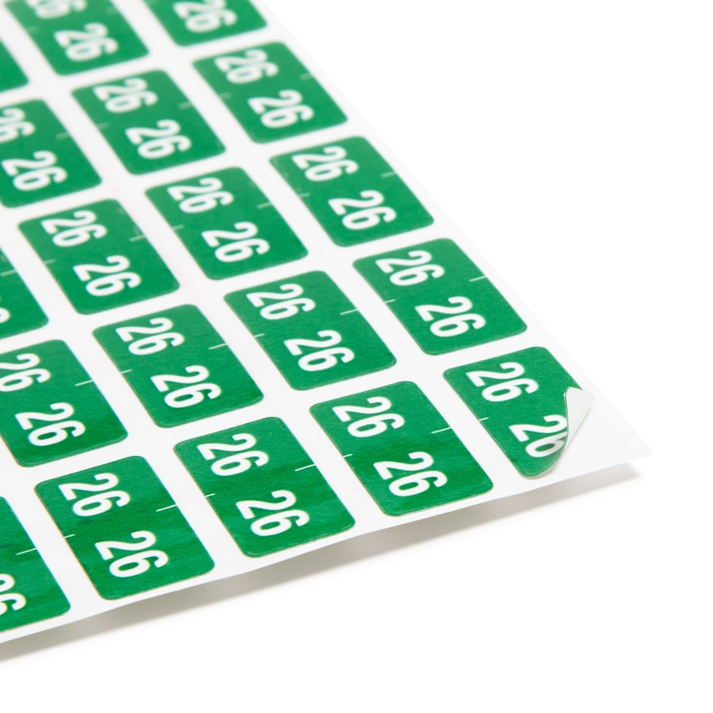 ETS Color-Coded Year Labels - Sheets, Green Color, 1" X 1/2" Size, Set of 250, 086486679268