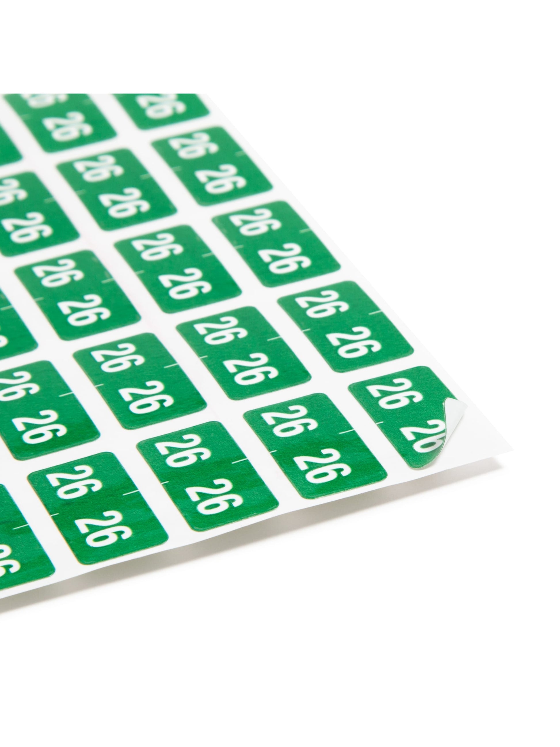 ETS Color-Coded Year Labels - Sheets, Green Color, 1" X 1/2" Size, Set of 250, 086486679268