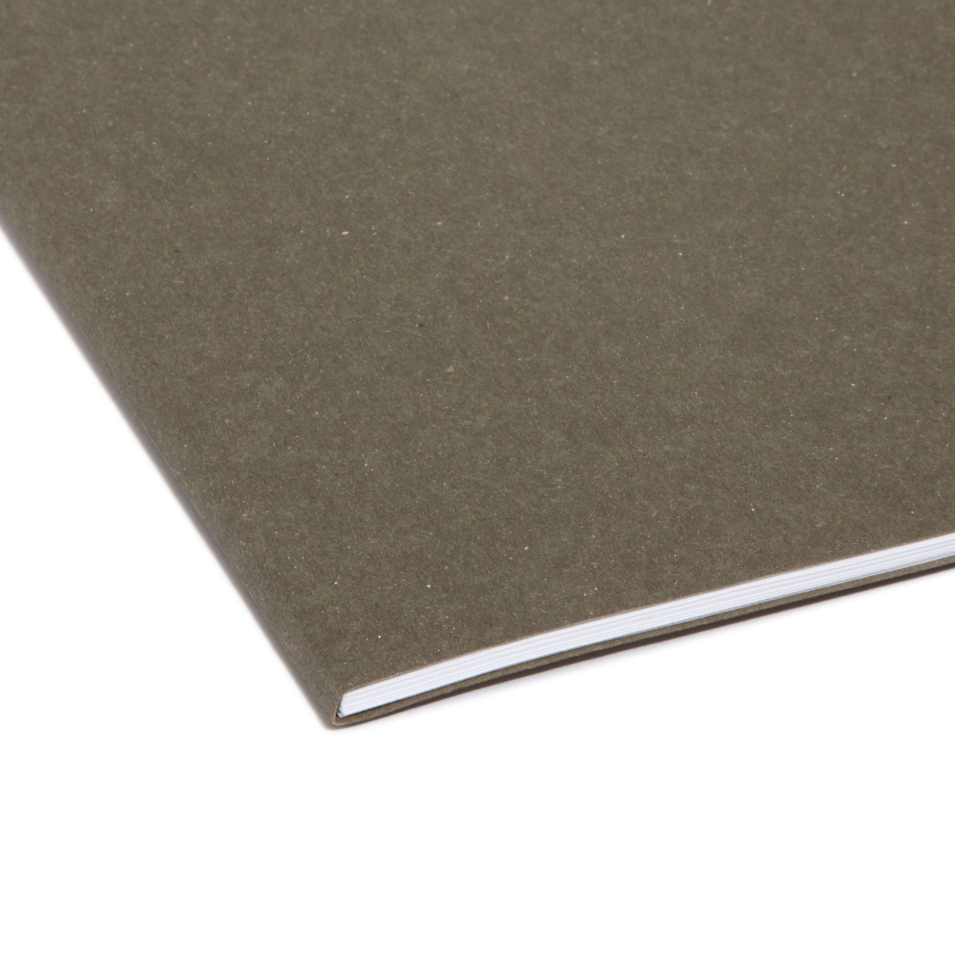 100% Recycled FasTab® Hanging File Folders, Bilingual Packaging, Standard Green Color, Letter Size, Set of 20, 086486640381