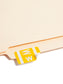 AlphaZ® ACCS Color Coded Alphabetic Labels - Sheets, Yellow Color, 1" X 1-5/8" Size, Set of 100, 086486671934